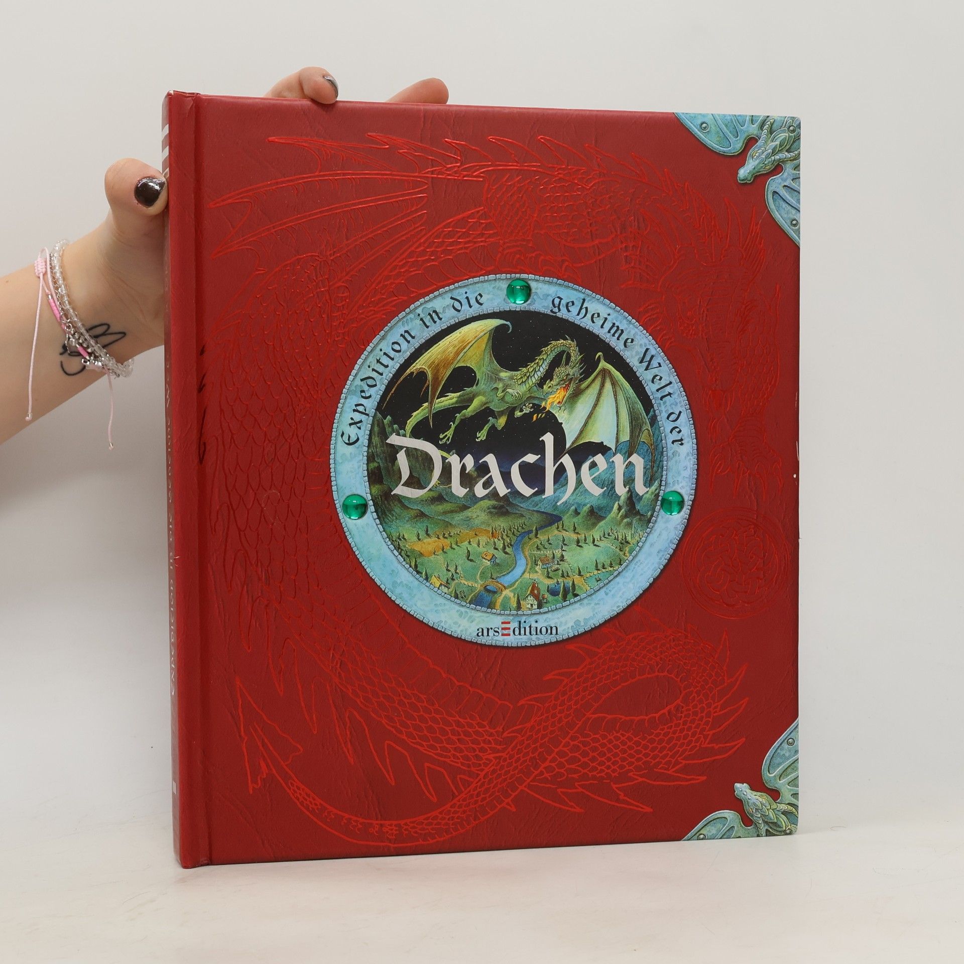 Kolektiv autorů Expedition in die geheime Welt der Drachen