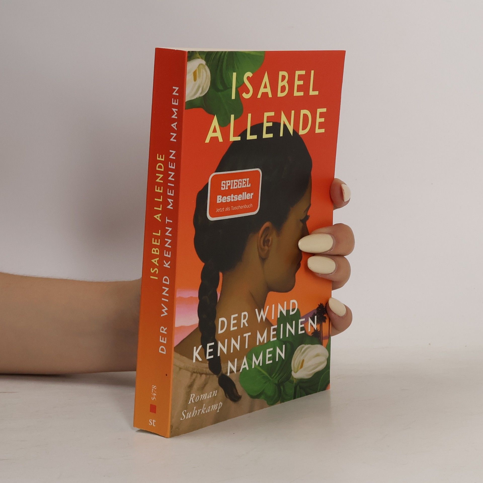 Isabel Allende Llona Der Wind kennt meinen Namen