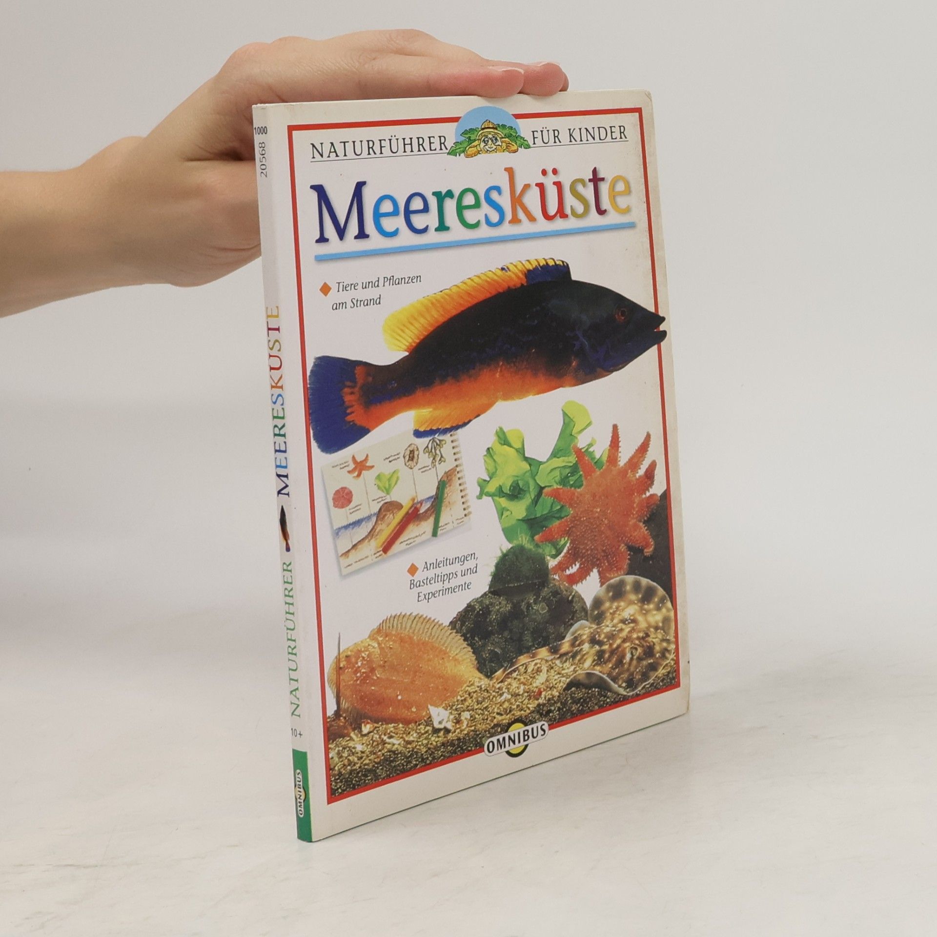 Naturführer für Kinder: Meeresküste