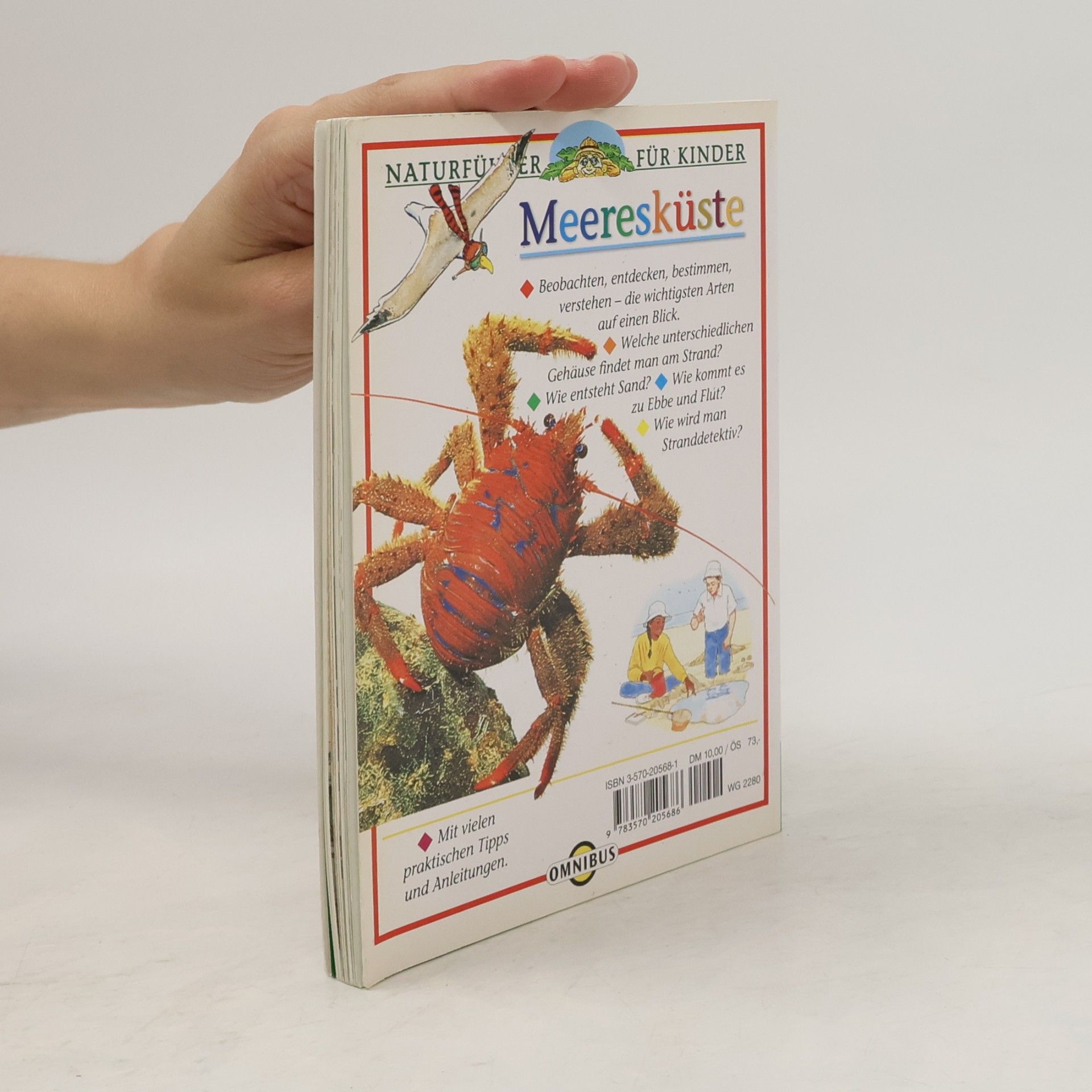 David Burnie Naturführer für Kinder: Meeresküste
