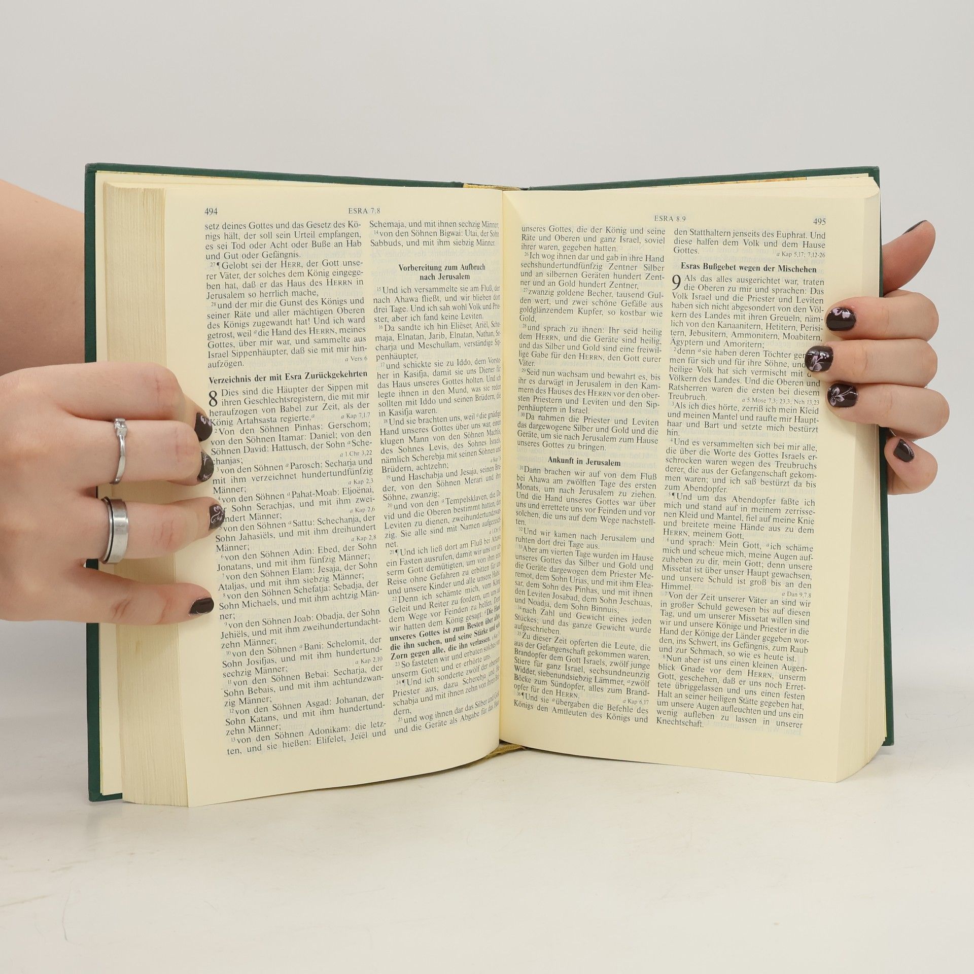 Martin Luther Die Bibel