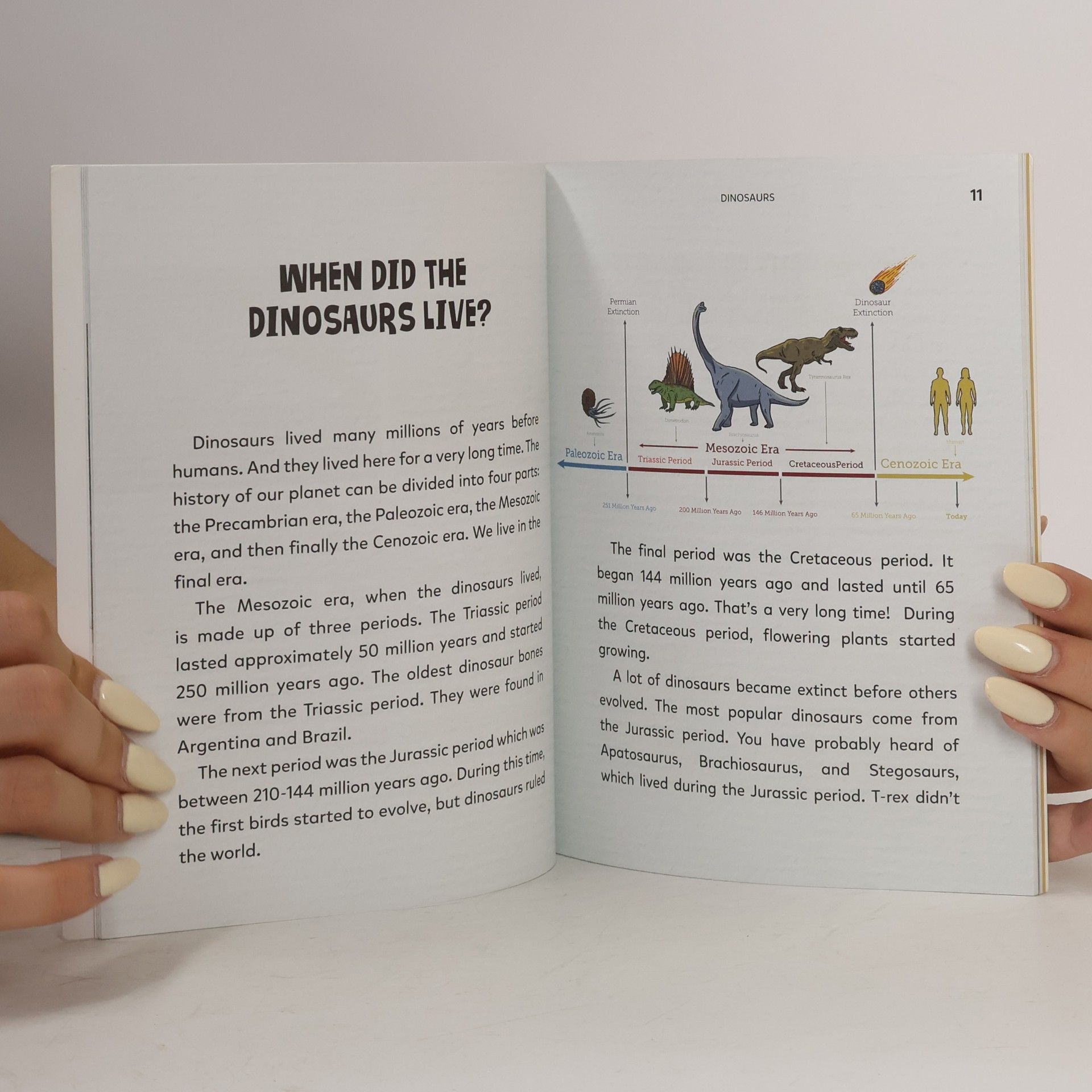 Sarah Sweeney Dinosaurs 2