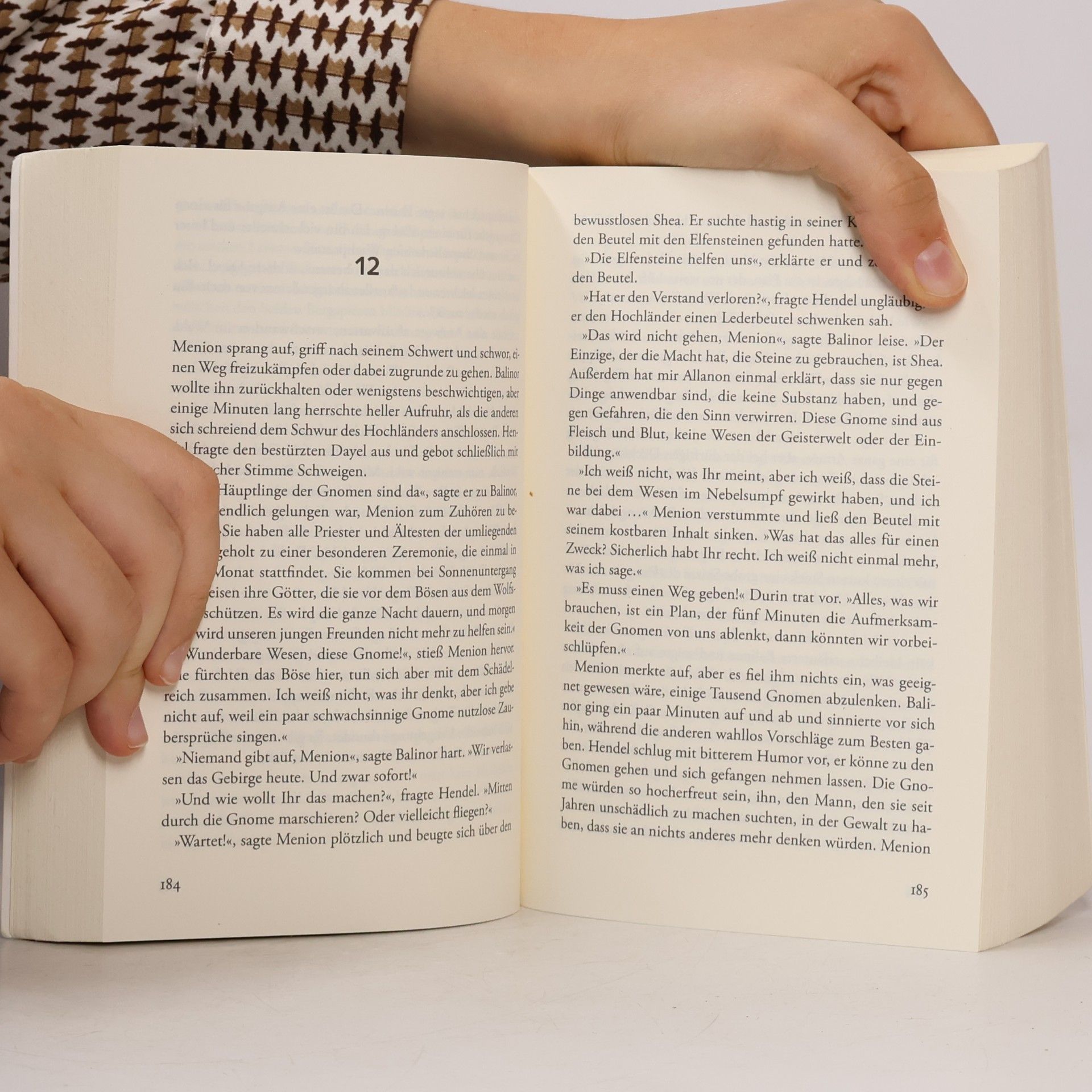 Terry Brooks Die Shannara-Chroniken - das Schwert der Elfen
