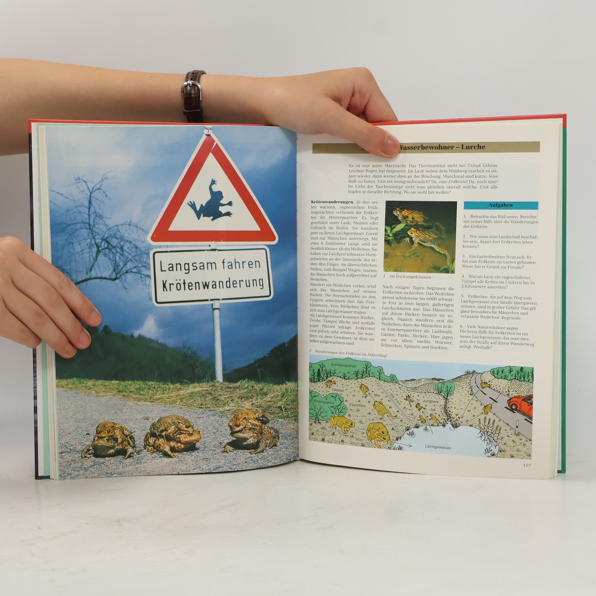 Martin Buddeberg Biologie 5/6