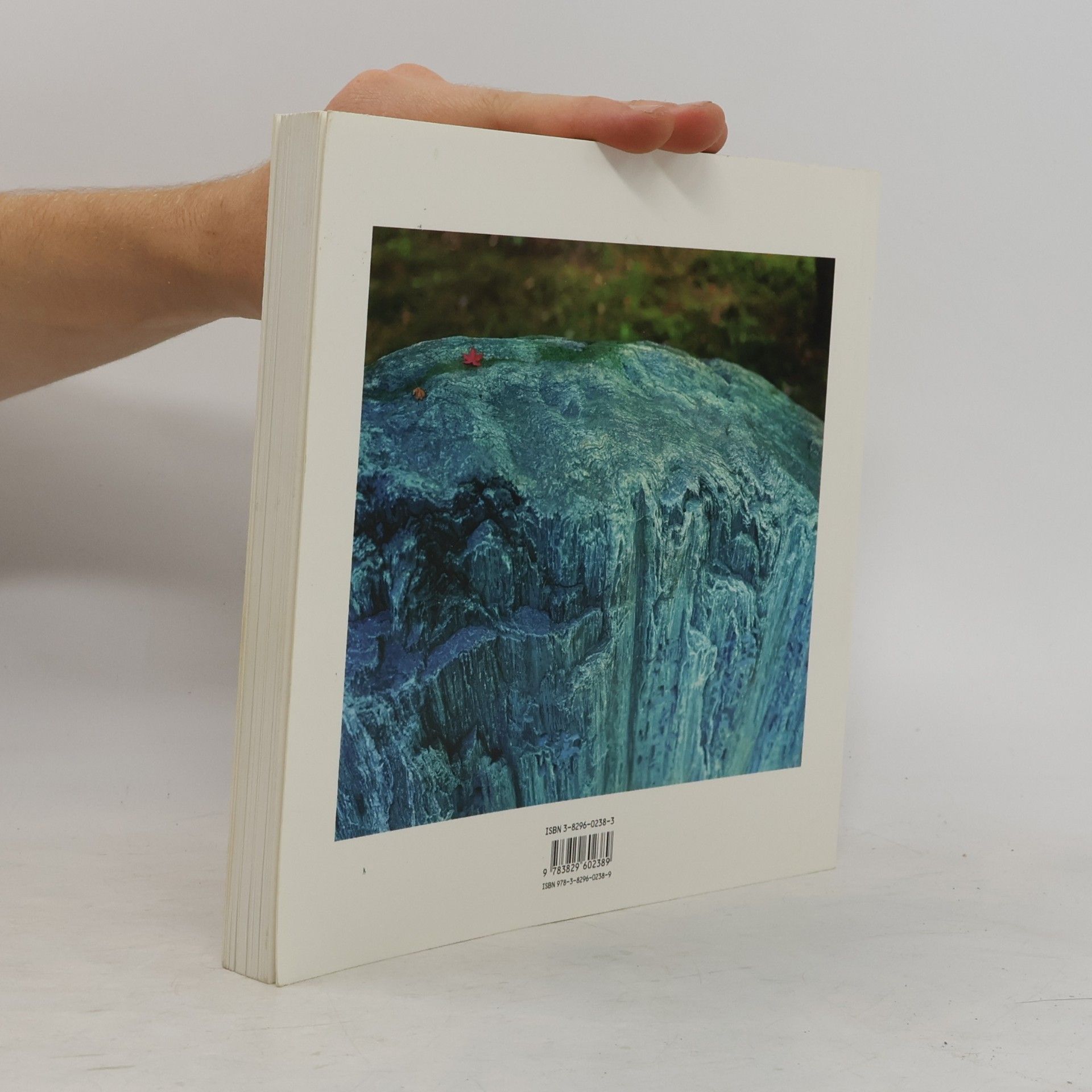 Wim Wenders Pictures from the Surface of the Earth