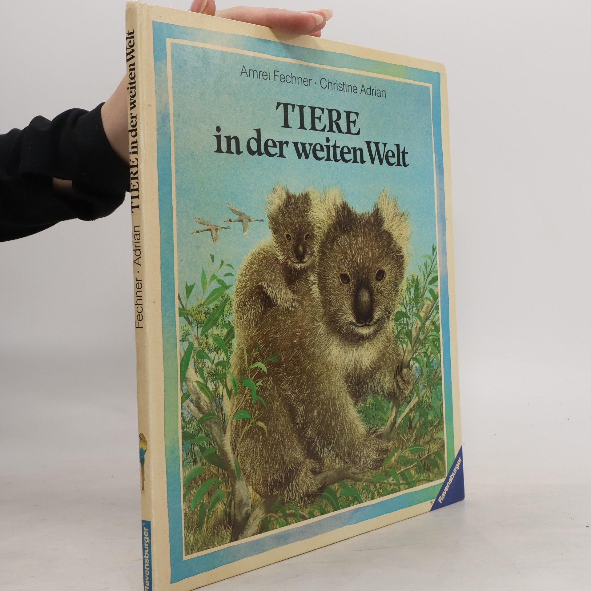 Tiere in der weiten Welt