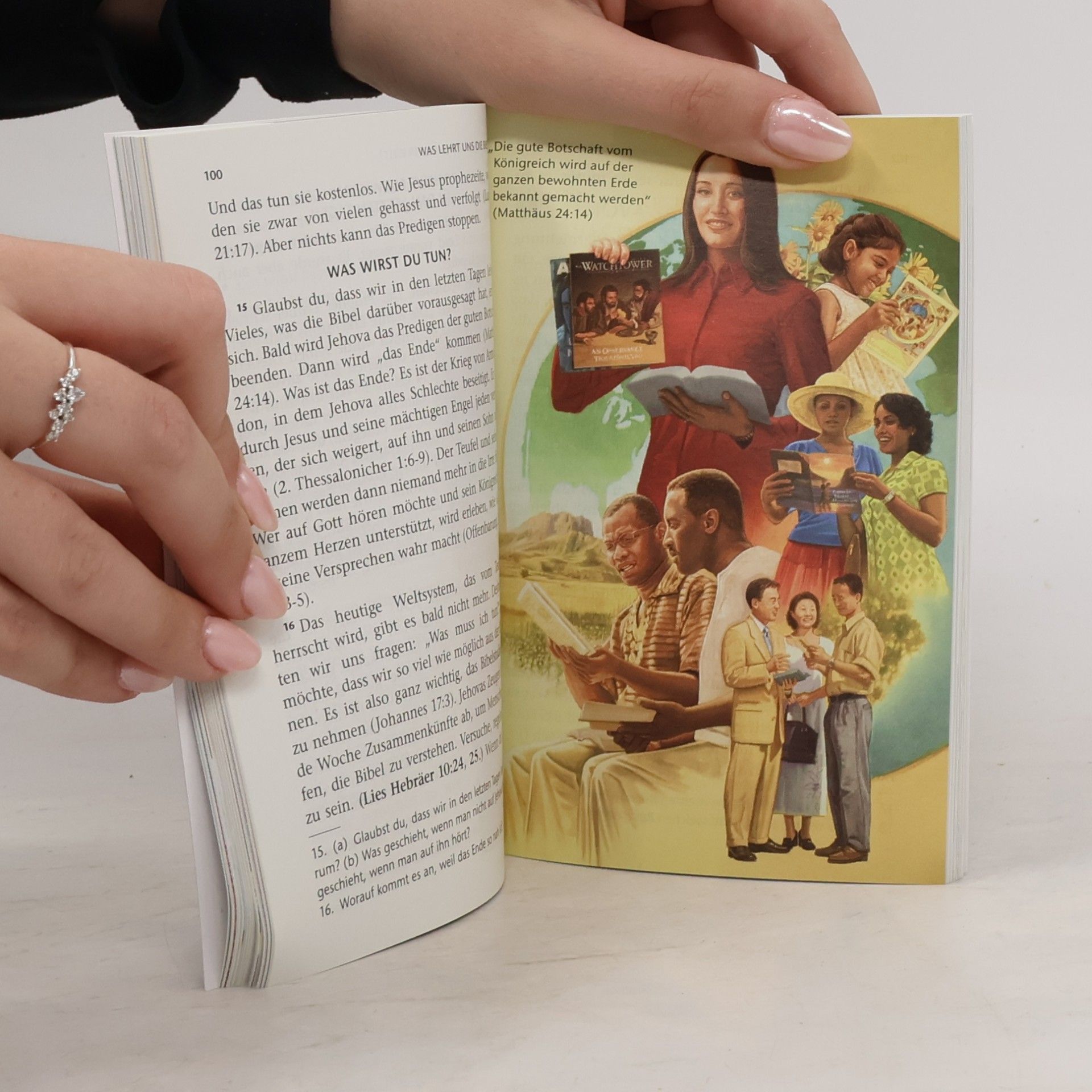 Autorenkollektiv Was lehrt uns die Bibel?