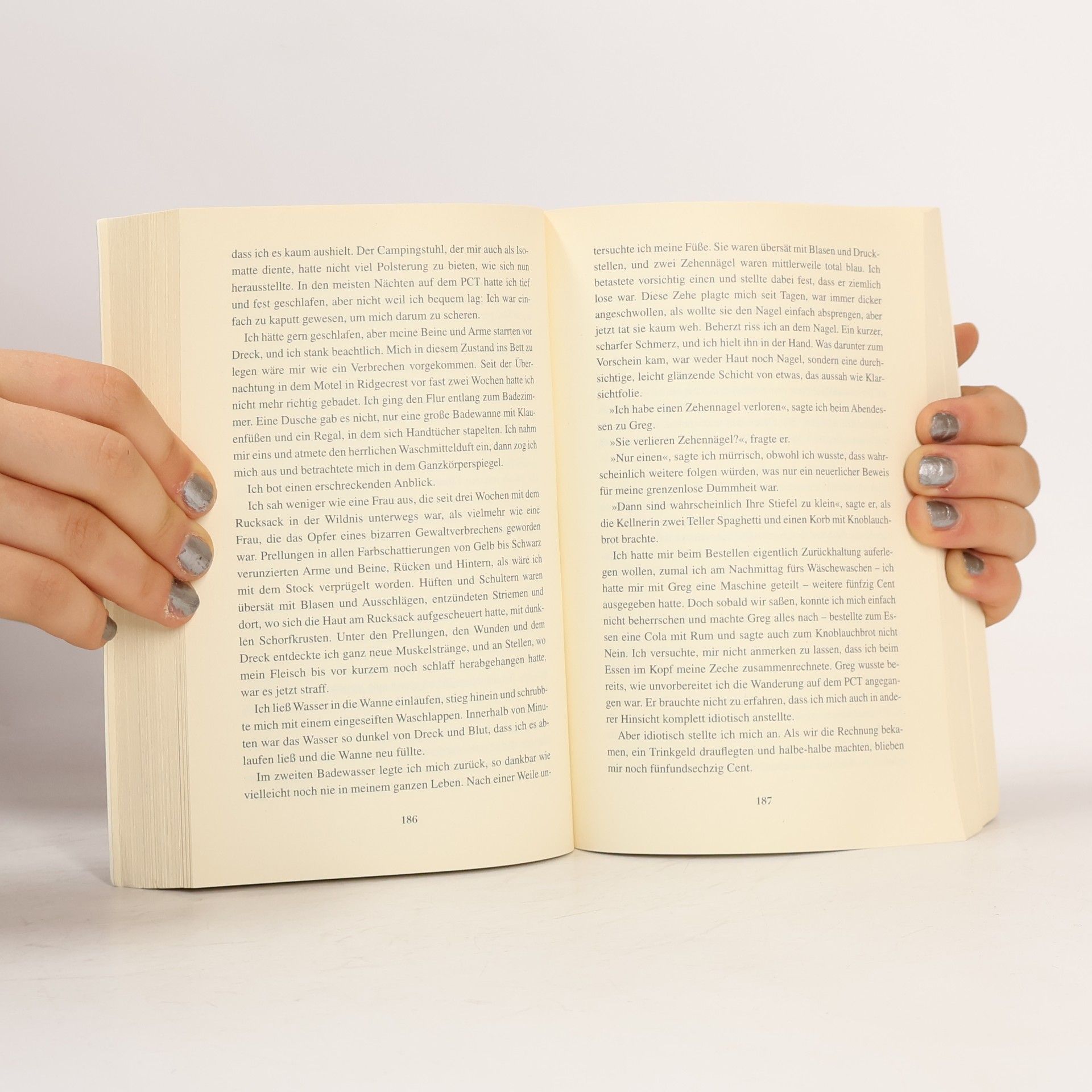 Cheryl Strayed Der große Trip - WILD