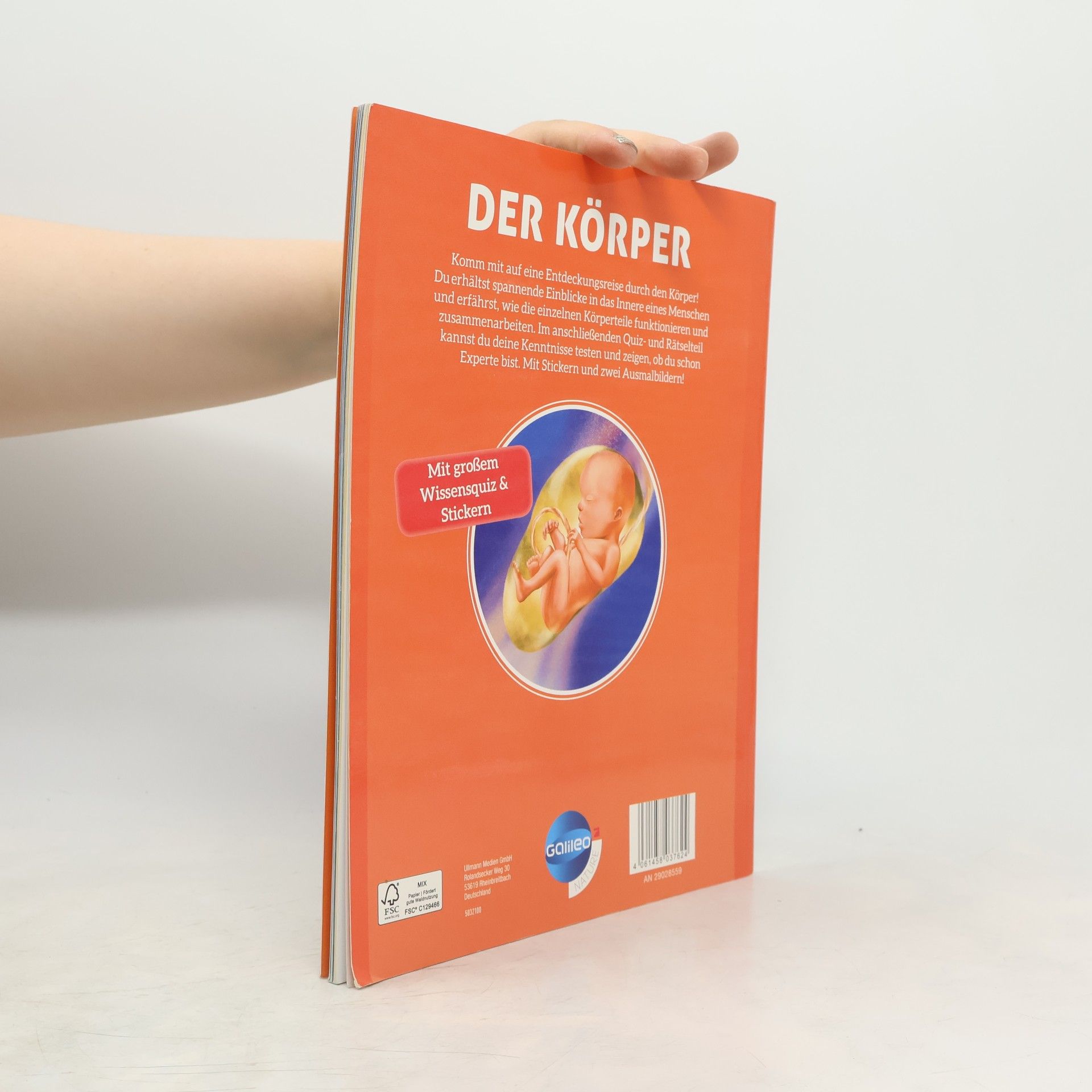 Cathy Franco Der Körper