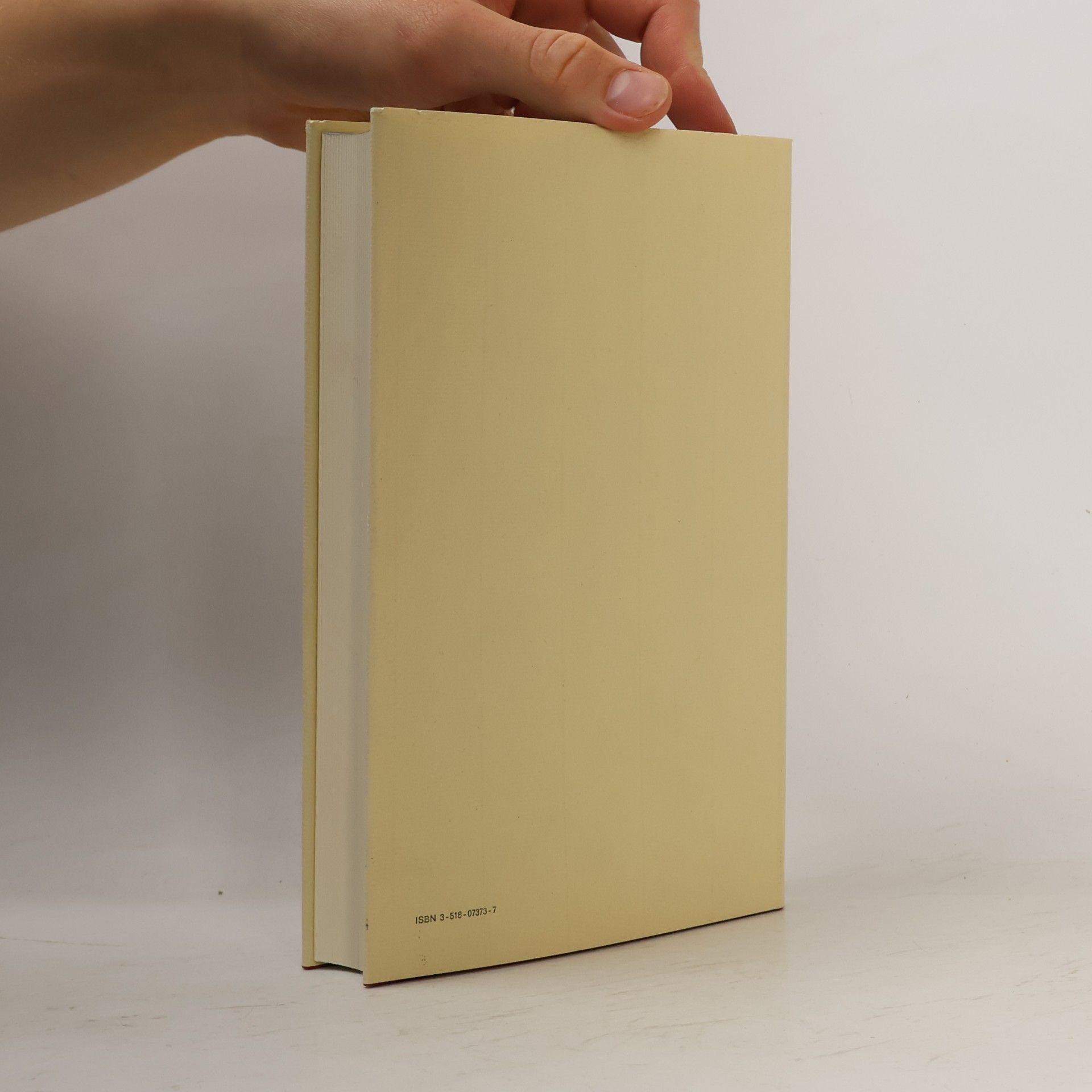 Ludwig Wittgenstein Schriften - 6: Bemerkungen über die Grundlagen der Mathematik