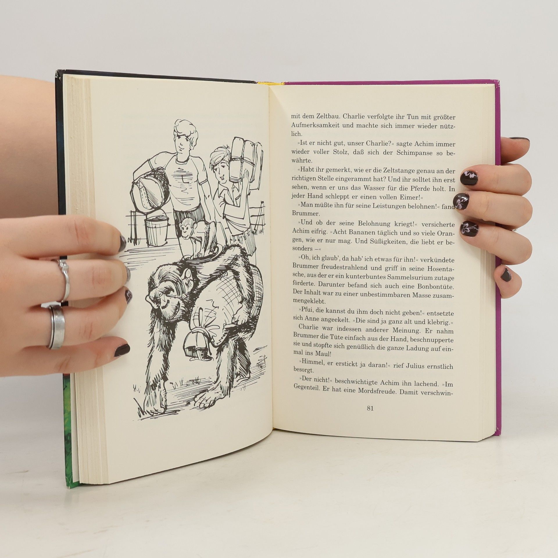 Enid Blyton 5 Freunde und der Zauberer Wu