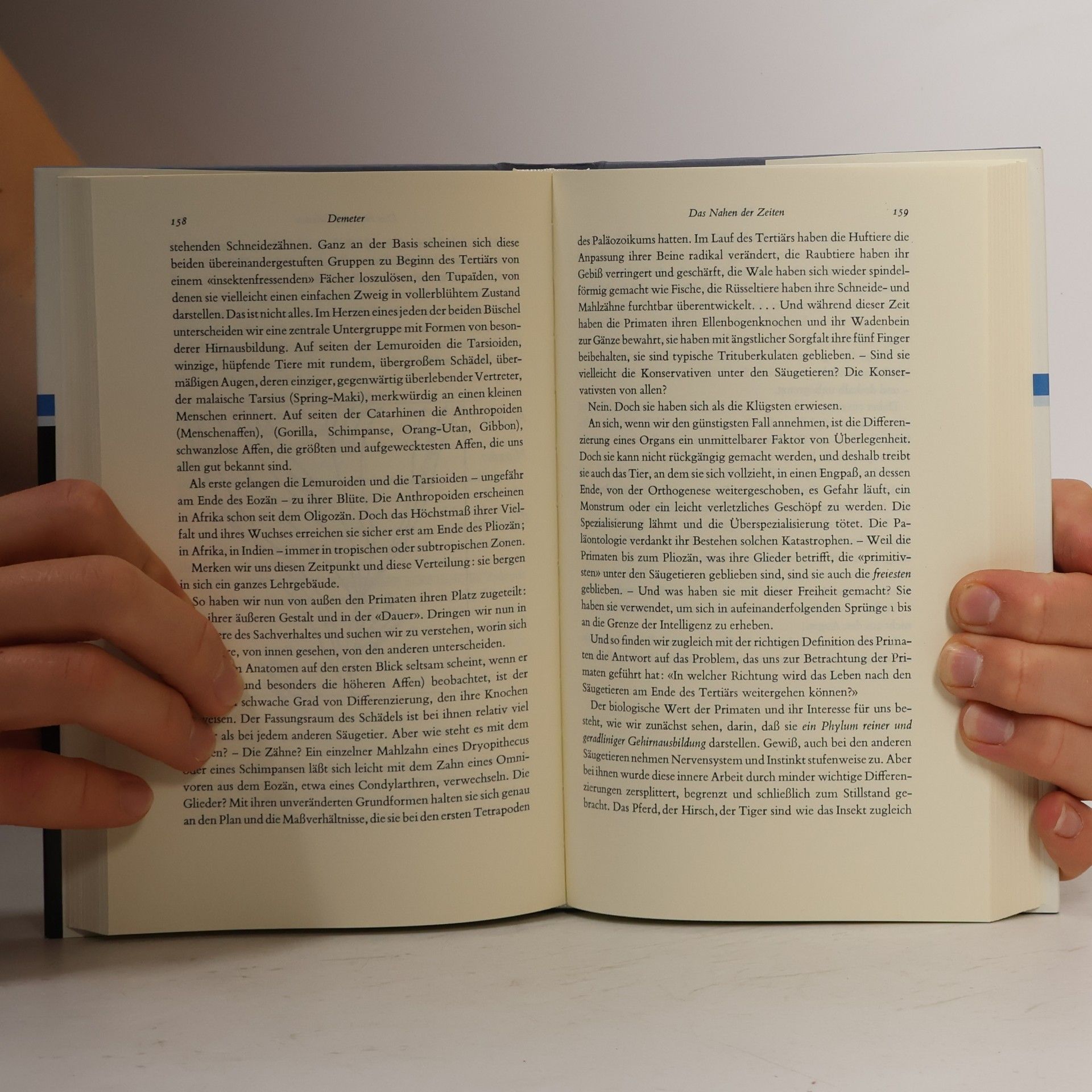 Pierre Teilhard de Chardin Der Mensch im Kosmos
