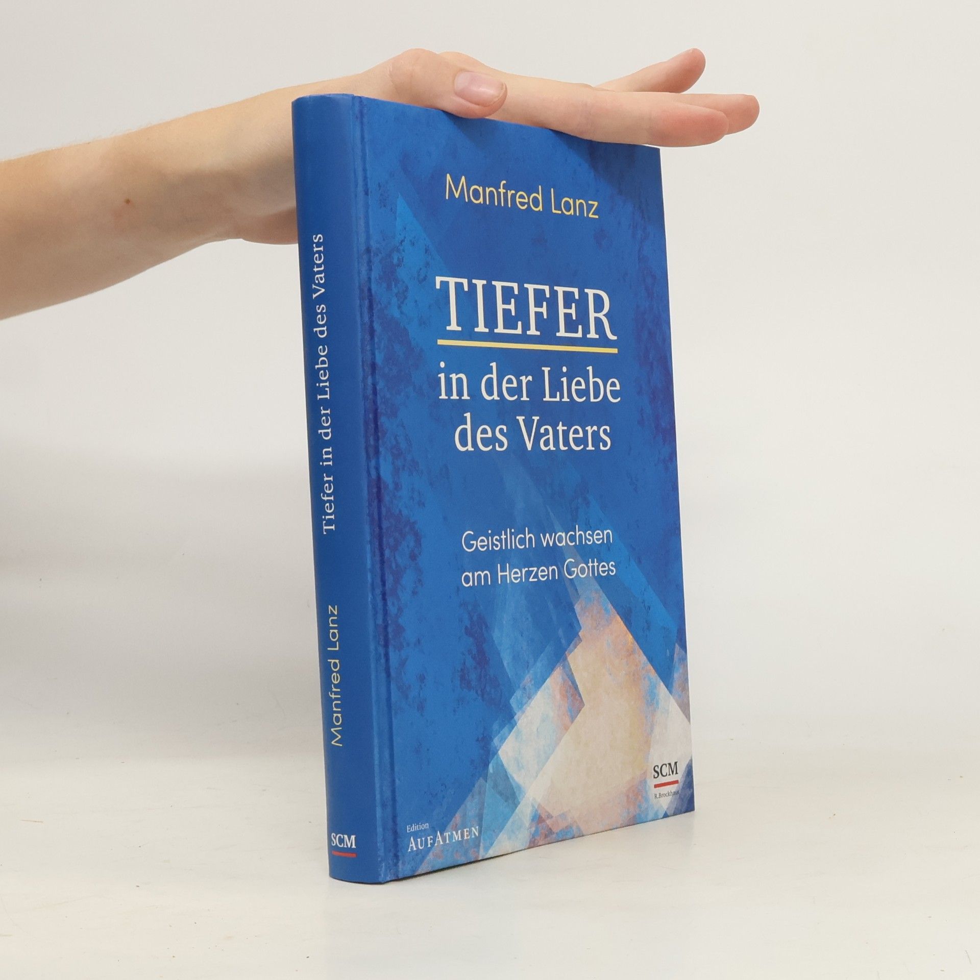 Manfred Lanz Tiefer in der Liebe des Vaters