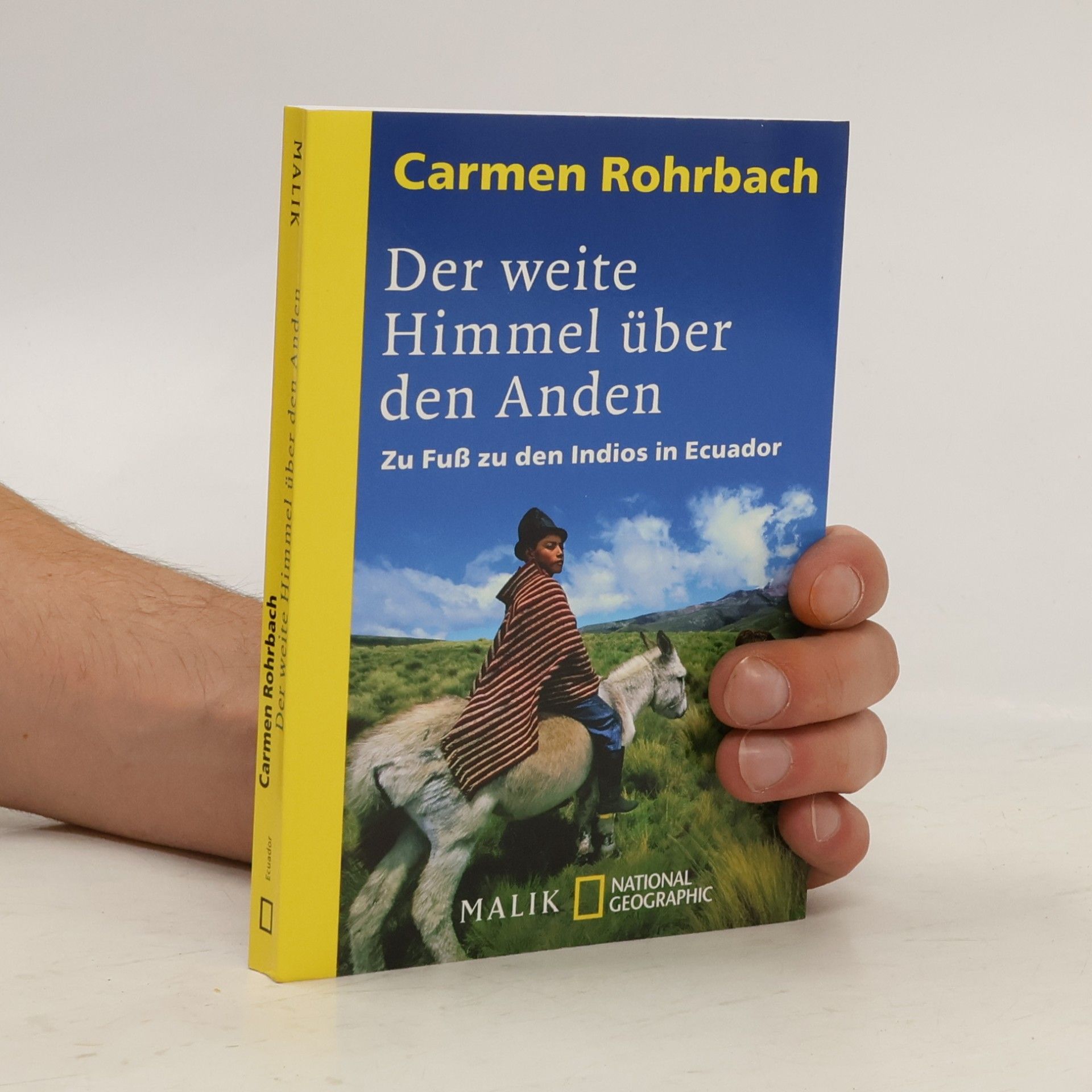 Carmen Rohrbach Der weite Himmel über den Anden