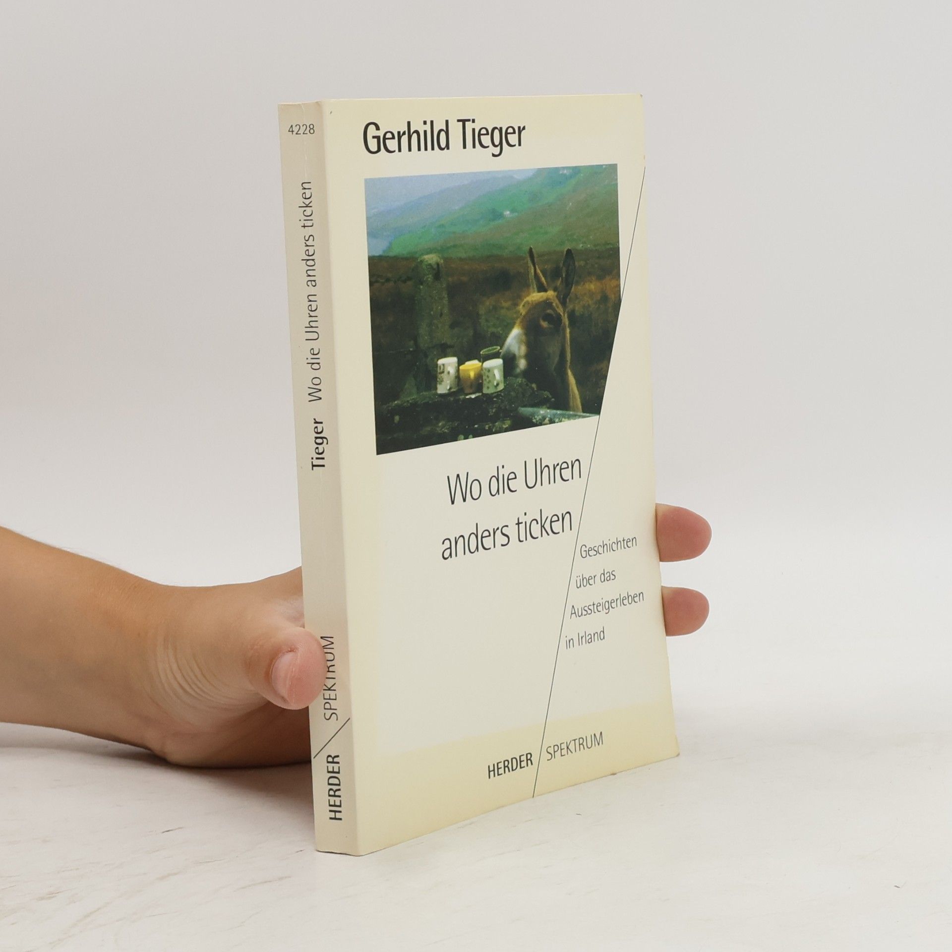 Gerhild Tieger Wo die Uhren anders ticken