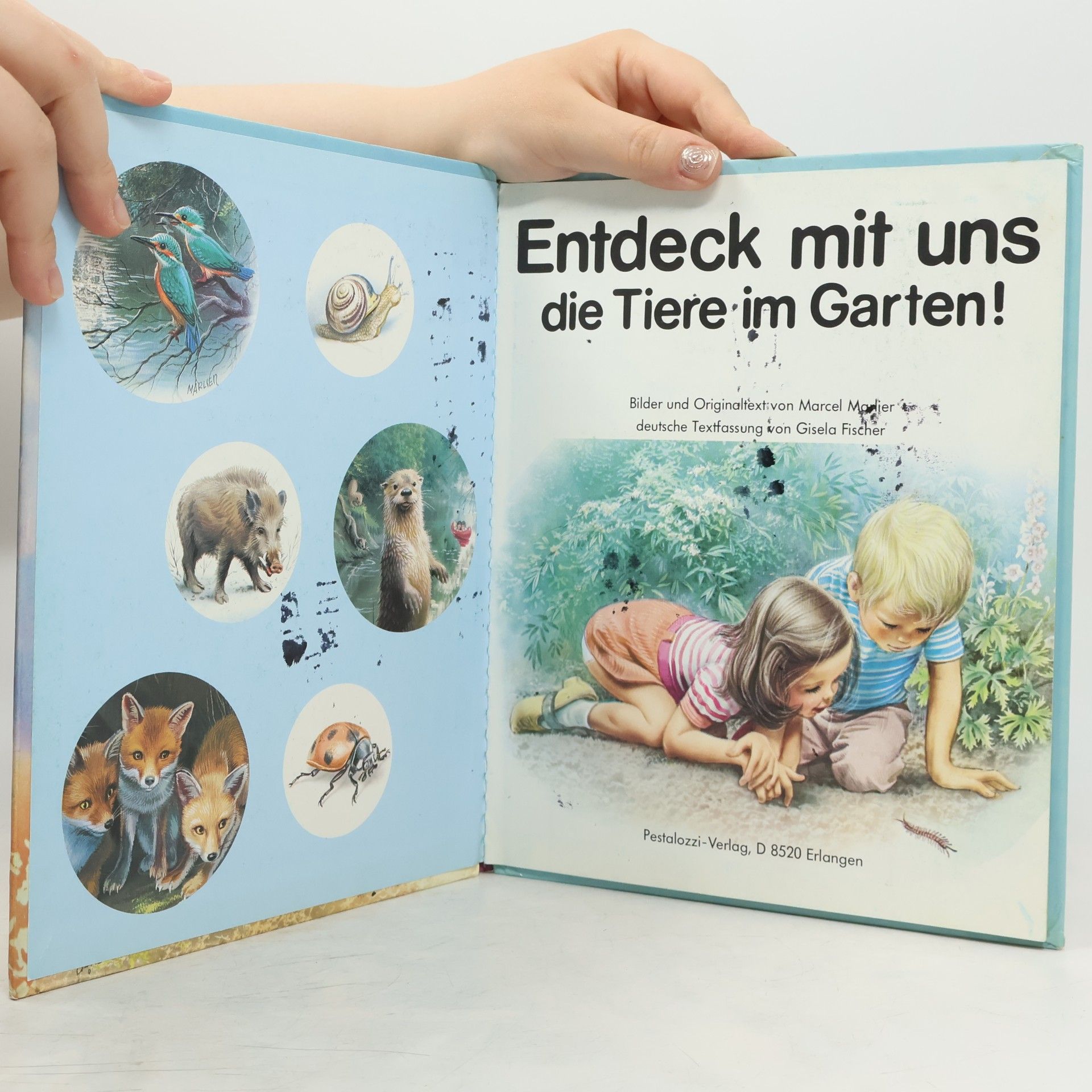Marcel Marlier Entdeck mit uns die Tiere im Garten!