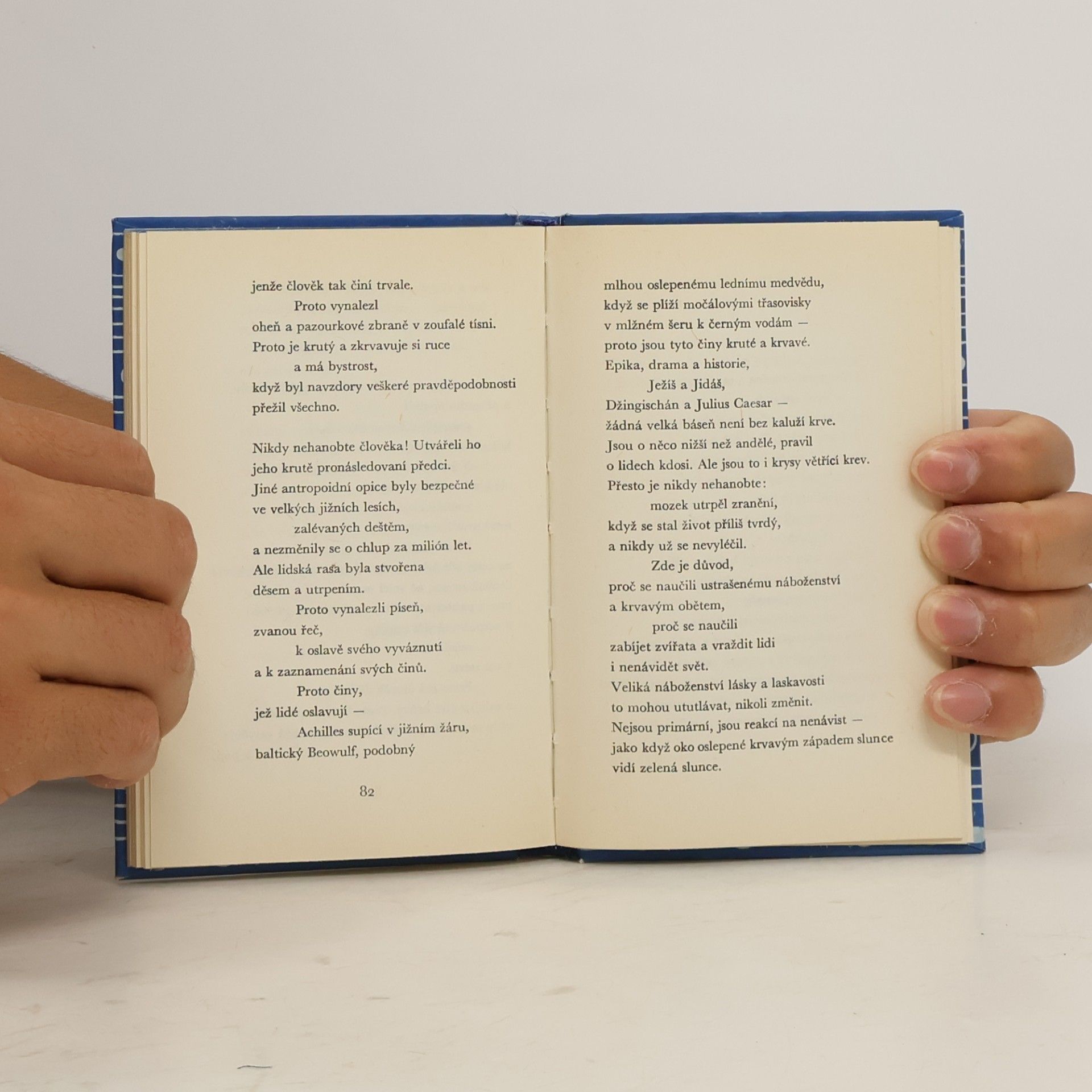 Robinson Jeffers Sbohem, moře : poslední básně