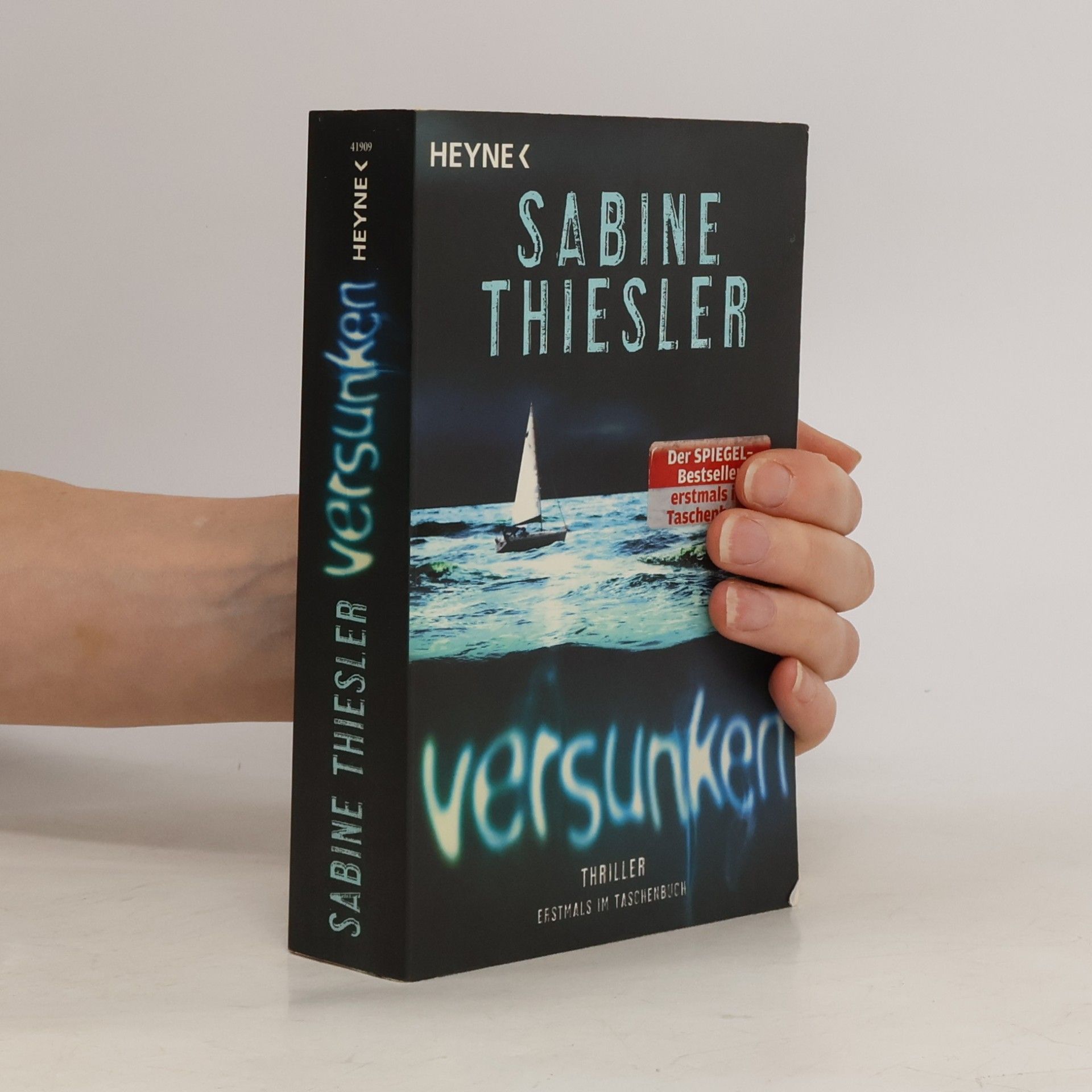 Sabine Thiesler Versunken