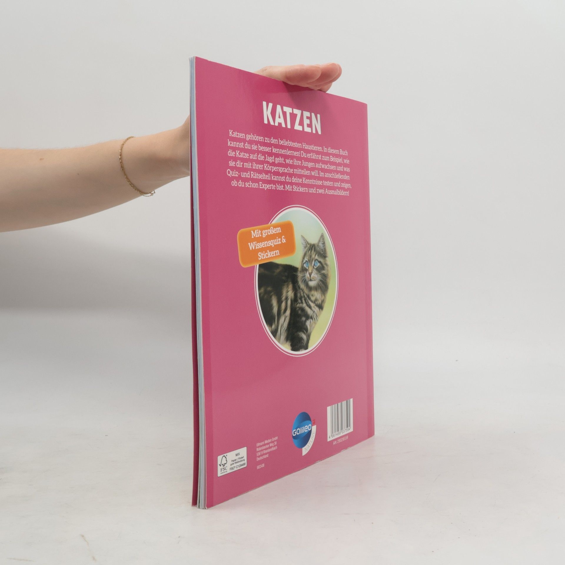 Kolektiv autorů Galileo Wissen: Katzen: Verspielte Jäger