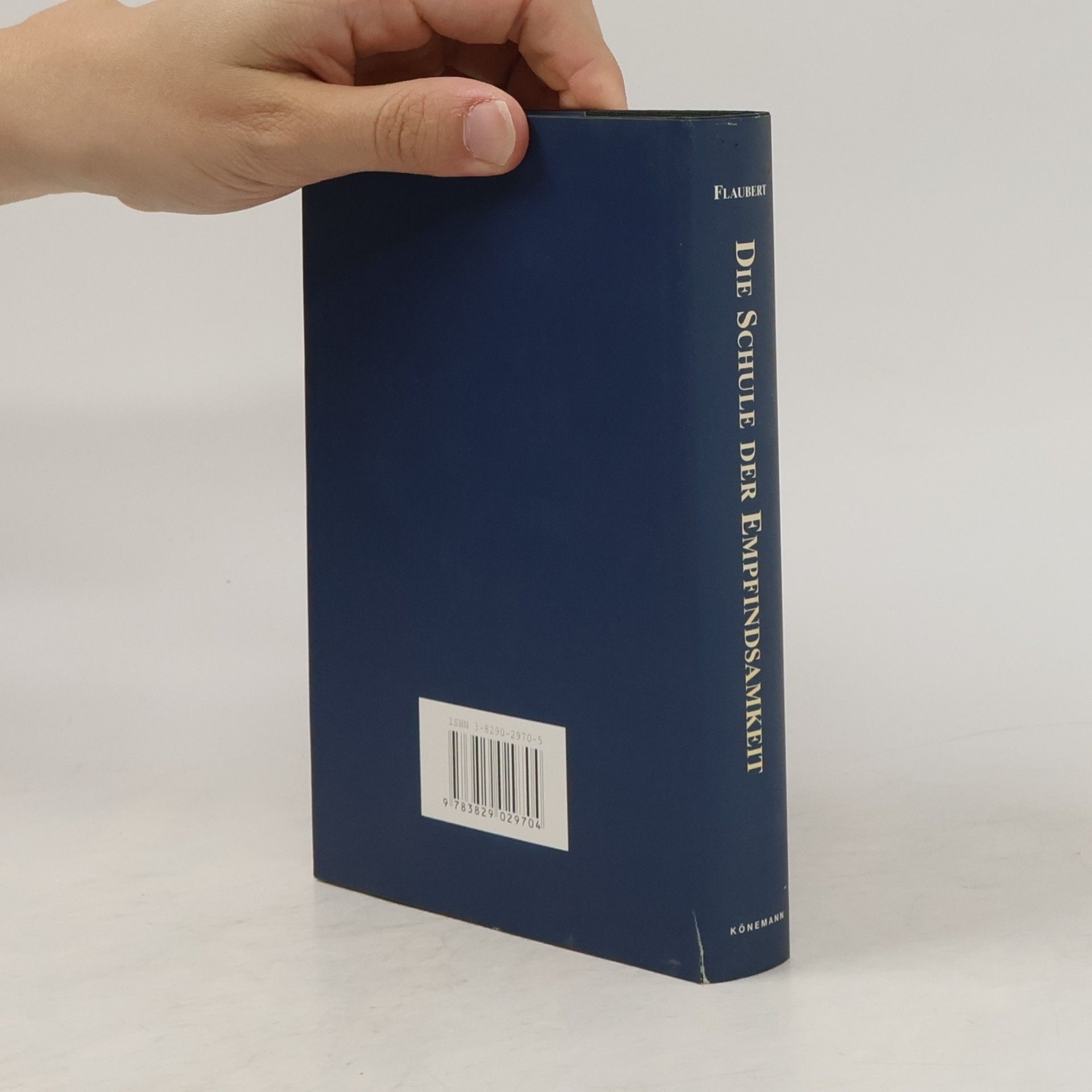 Gustave Flaubert Die Schule der Empfindsamkeit
