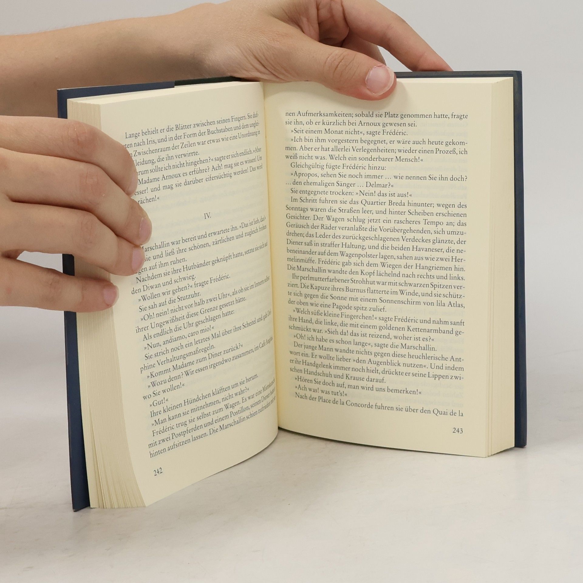 Gustave Flaubert Die Schule der Empfindsamkeit