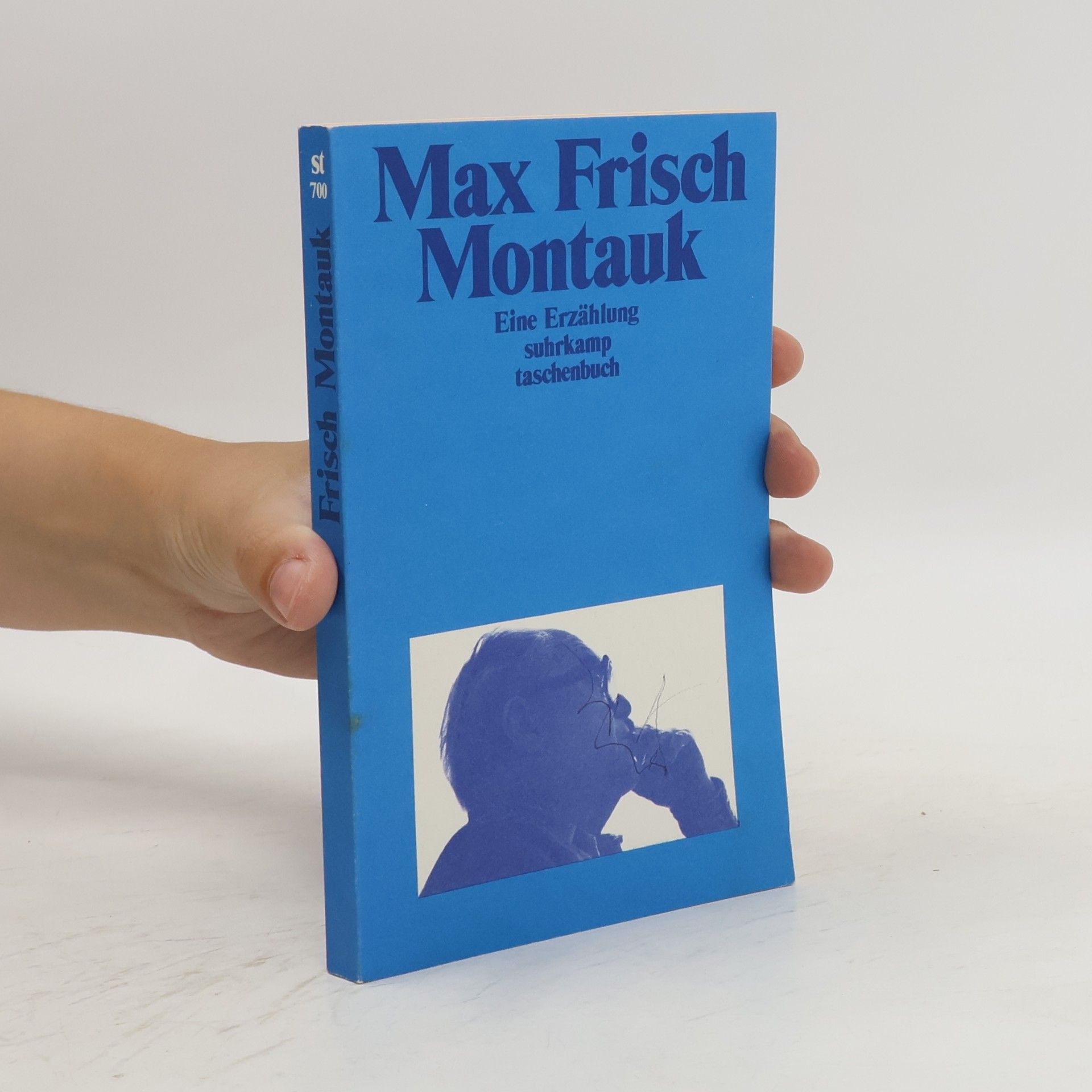 Max Frisch Montauk