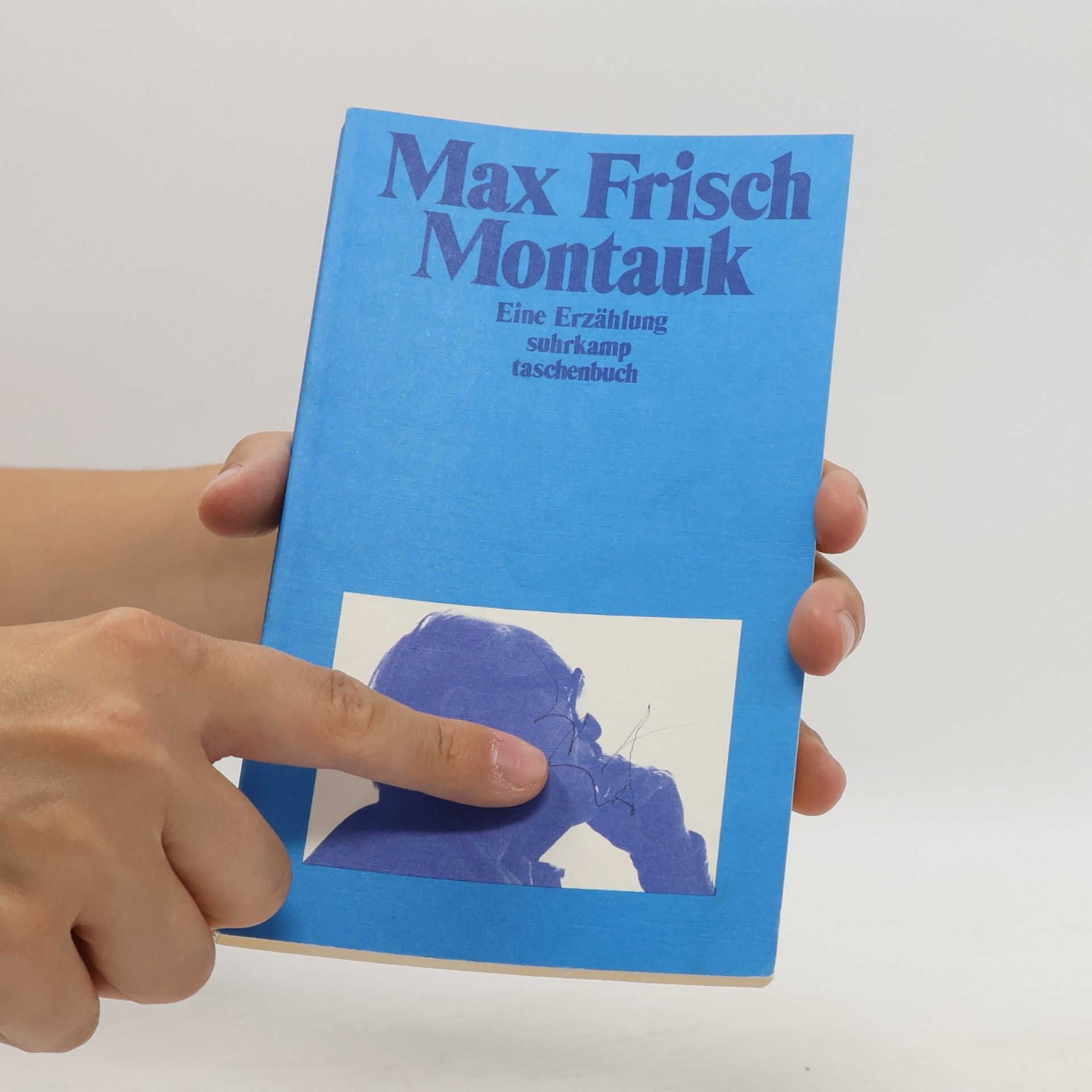 Max Frisch Montauk
