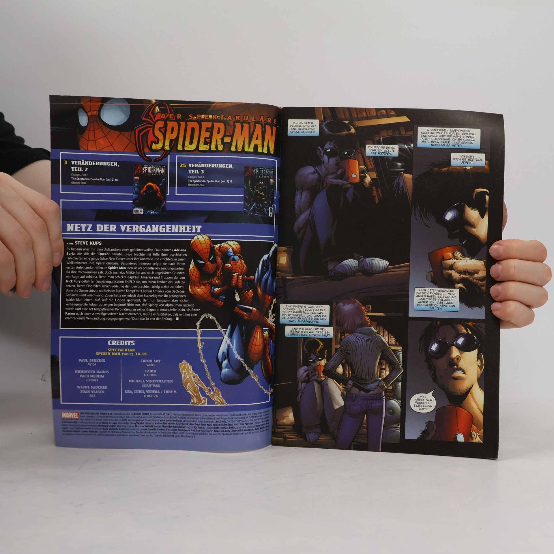 Autorenkollektiv Der spektakuläre Spider-Man 17.