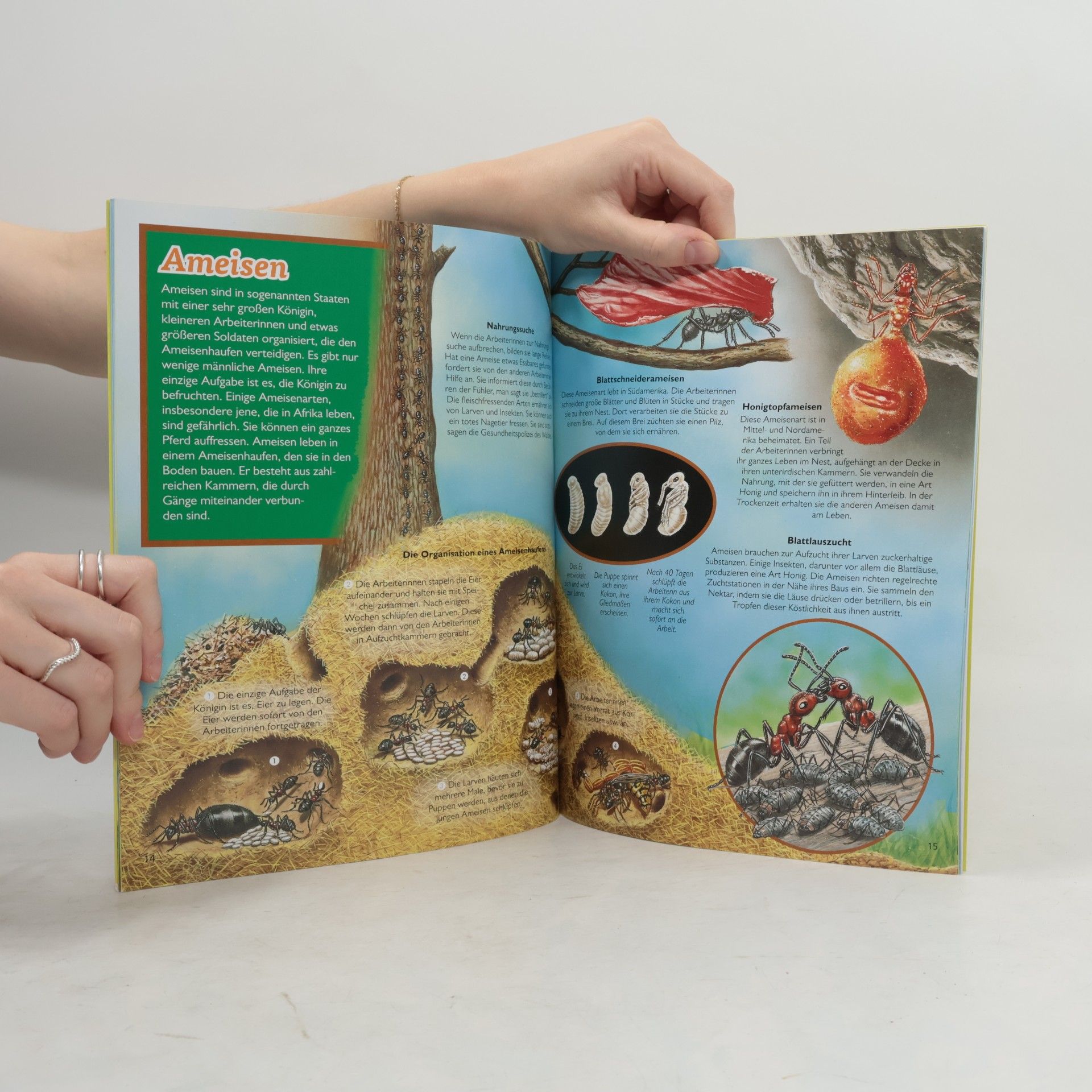 Autores varios Insekten. Die Welt der kleinen Krabbler