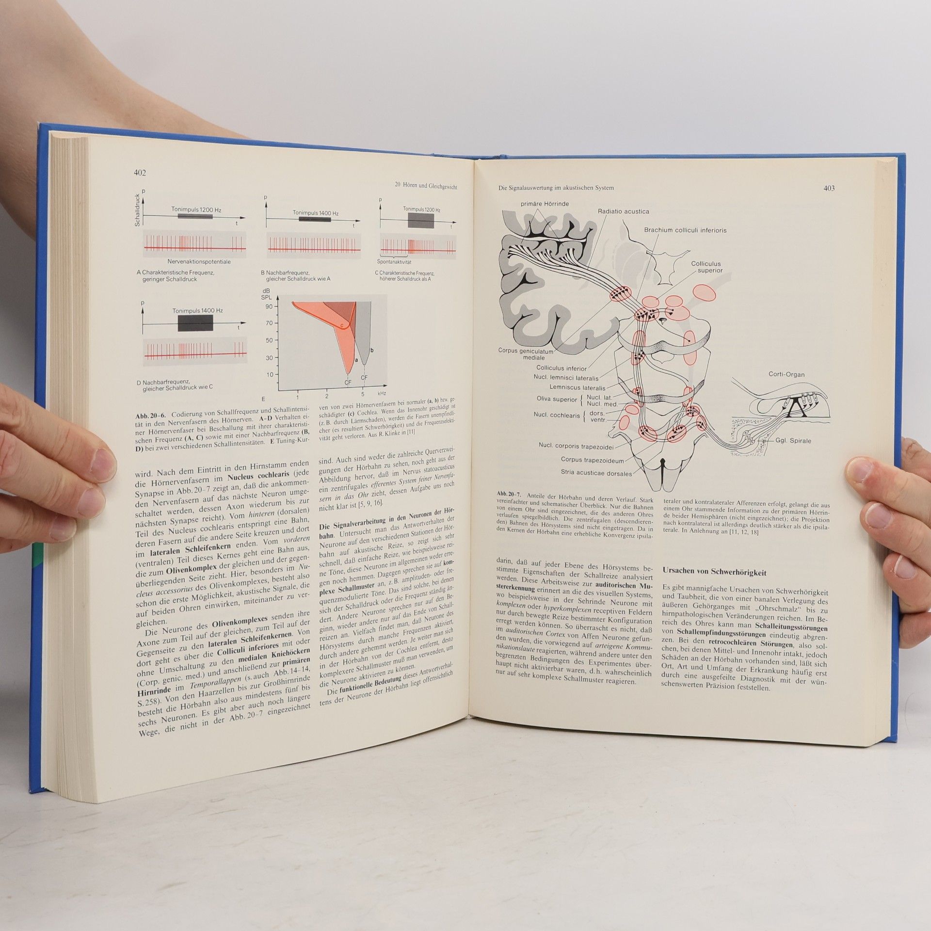 Niels Birbaumer Biologische Psychologie
