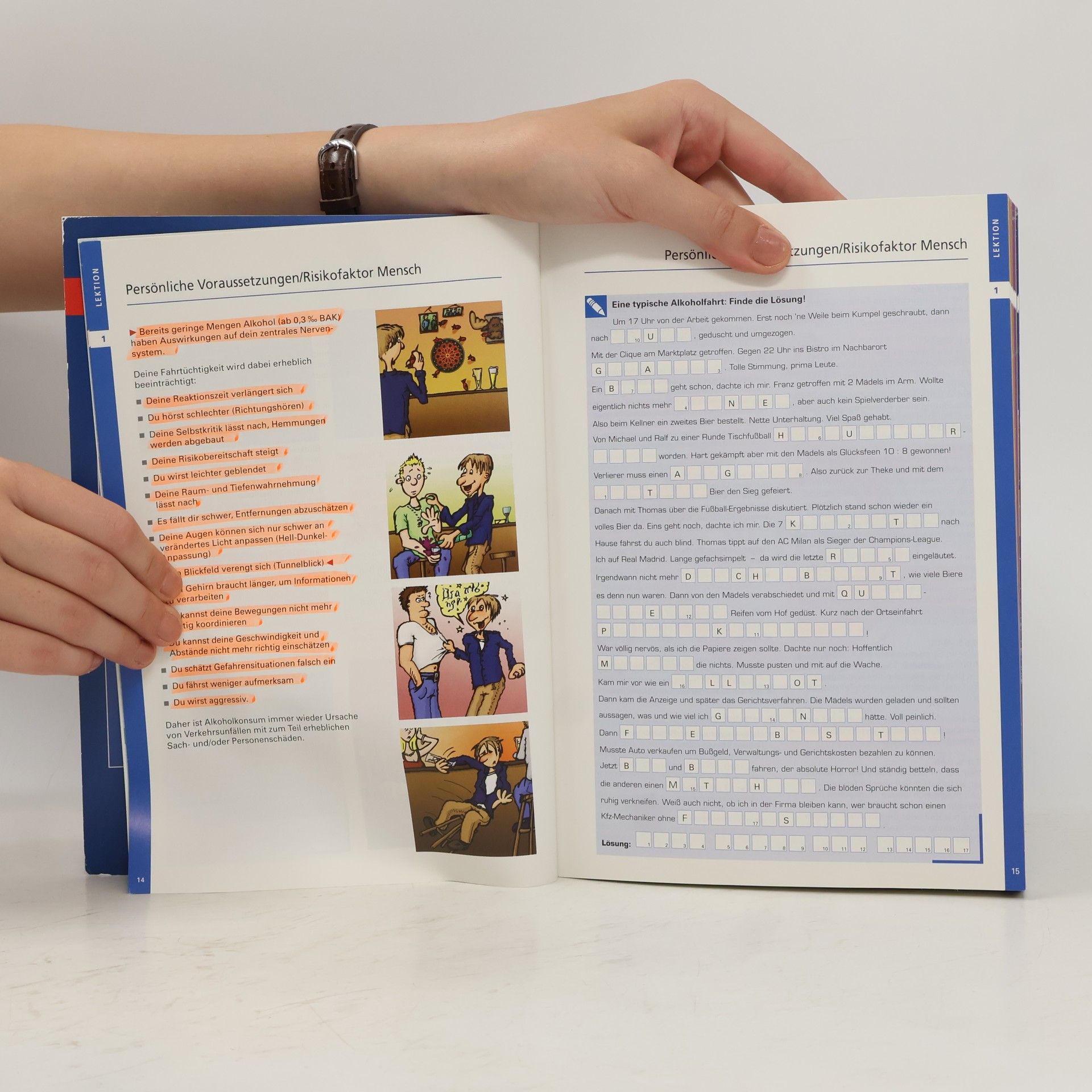 Autorenkollektiv Das Begleitbuch zur Führerscheinausbildung
