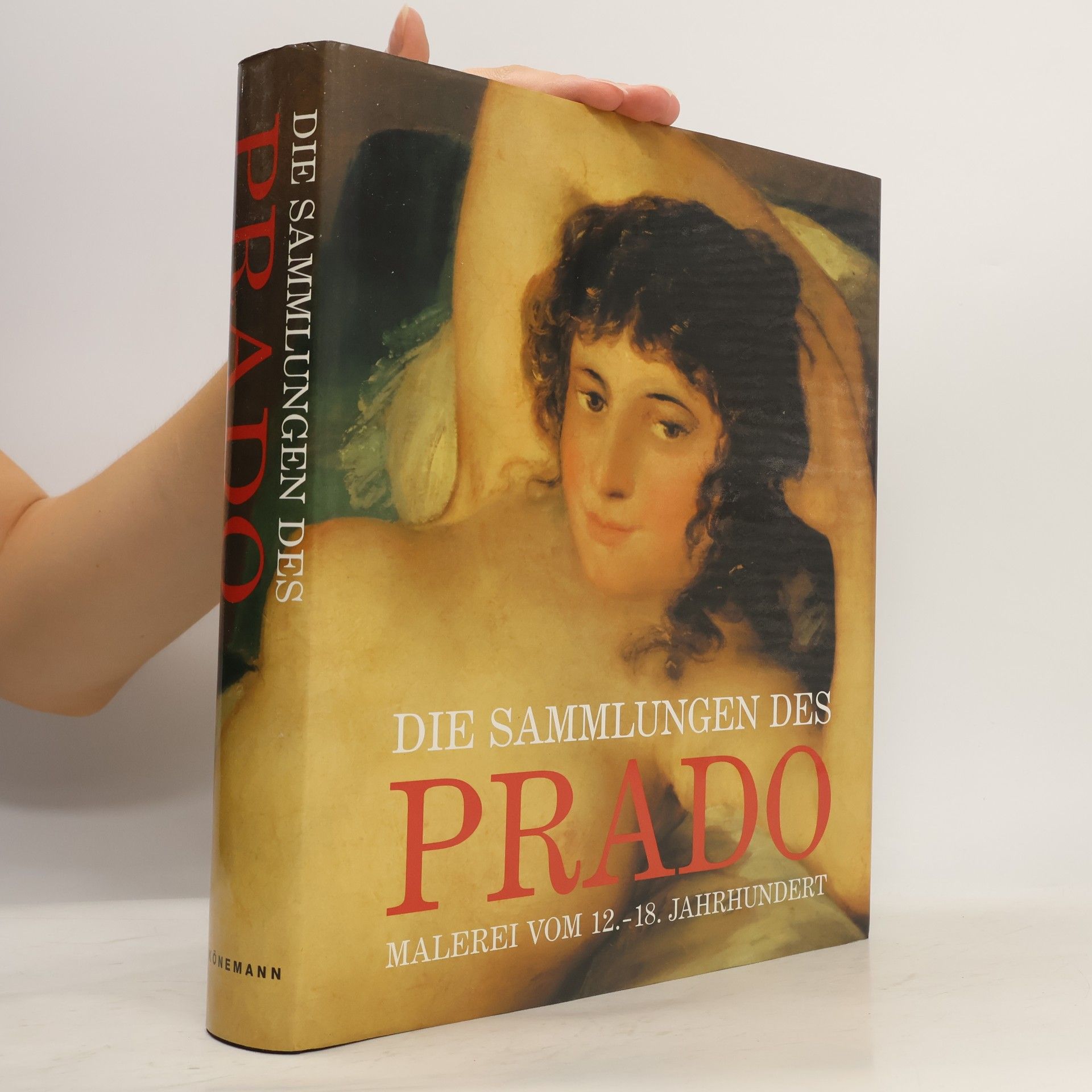 José Rogelio Buendía Die Sammlungen des Prado : malerei vom 12. - 18. Jahrhundert