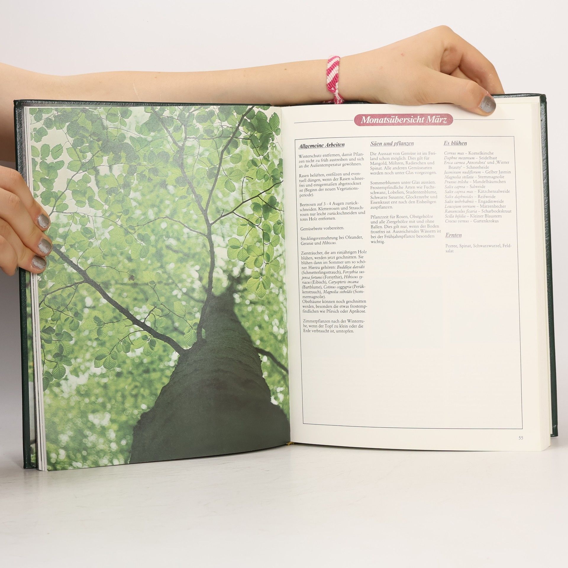 Autores varios Mein Gartenkalender