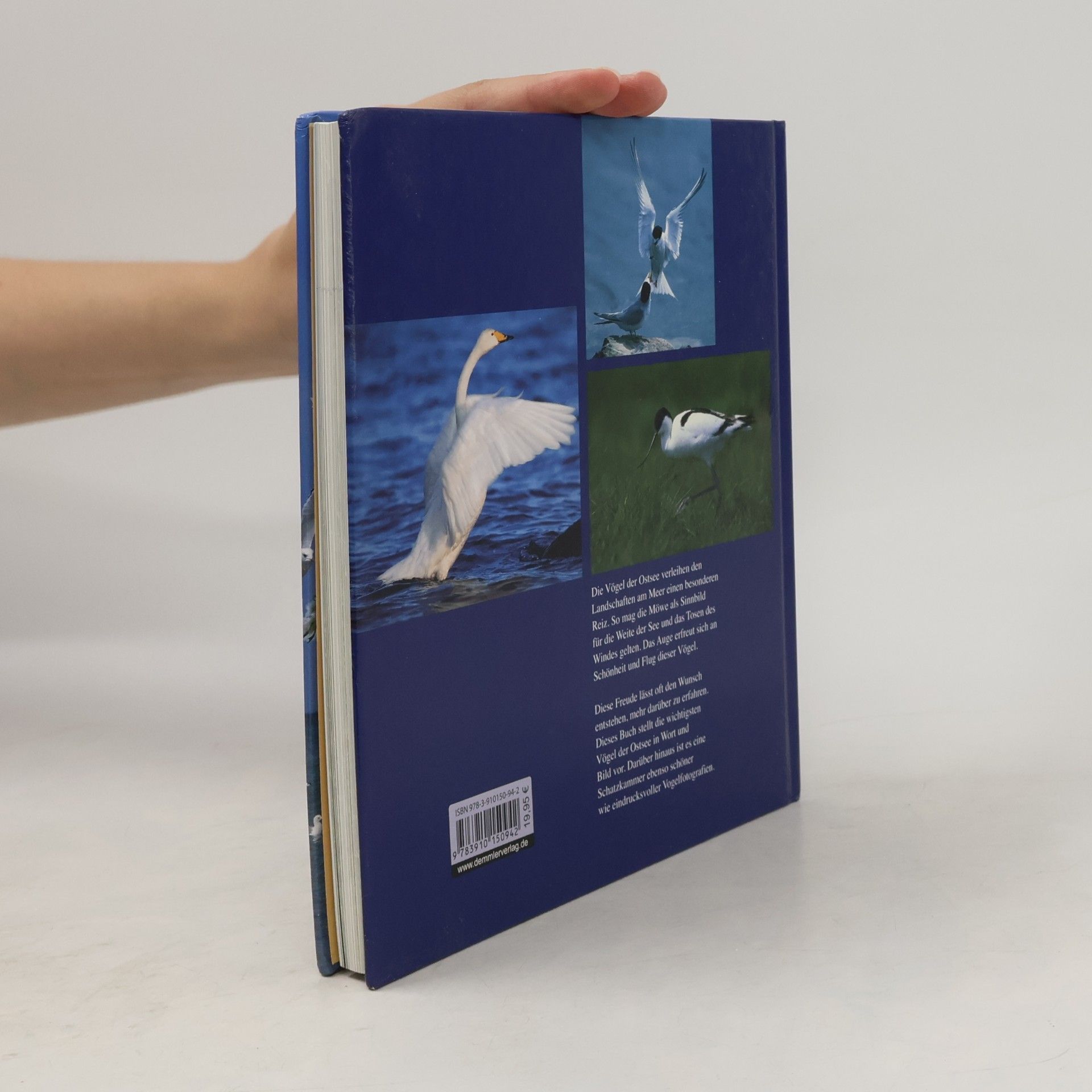 Rico Nestmann Vögel der Ostsee