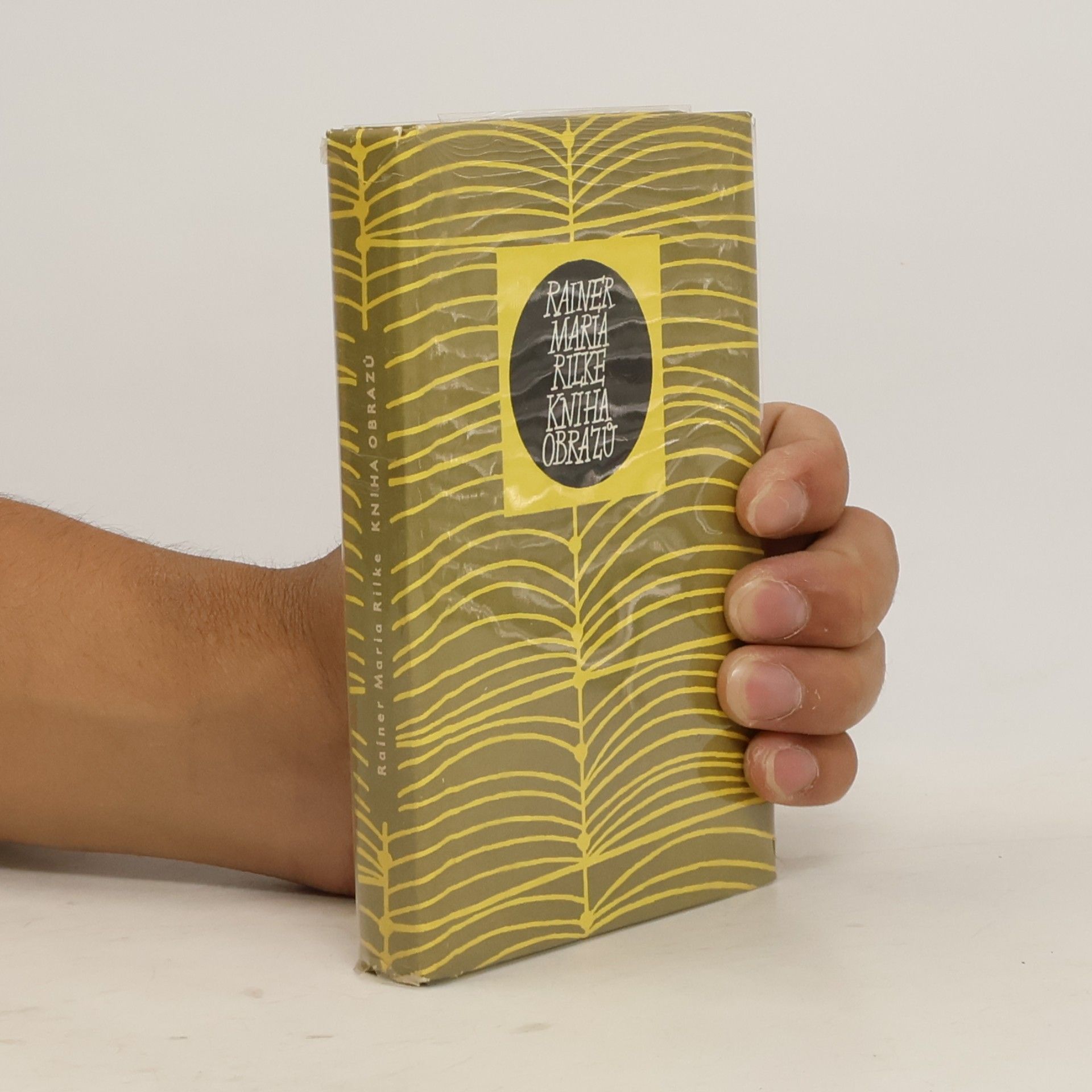 Rainer Maria Rilke Kniha obrazů