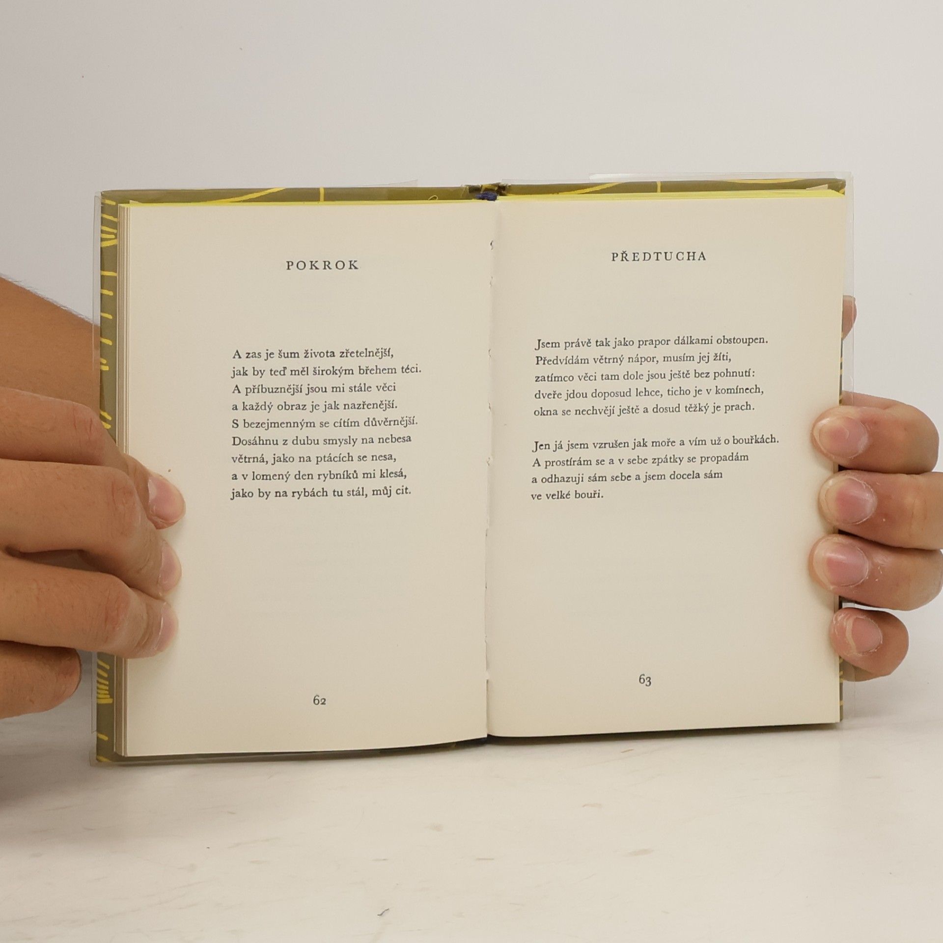 Rainer Maria Rilke Kniha obrazů