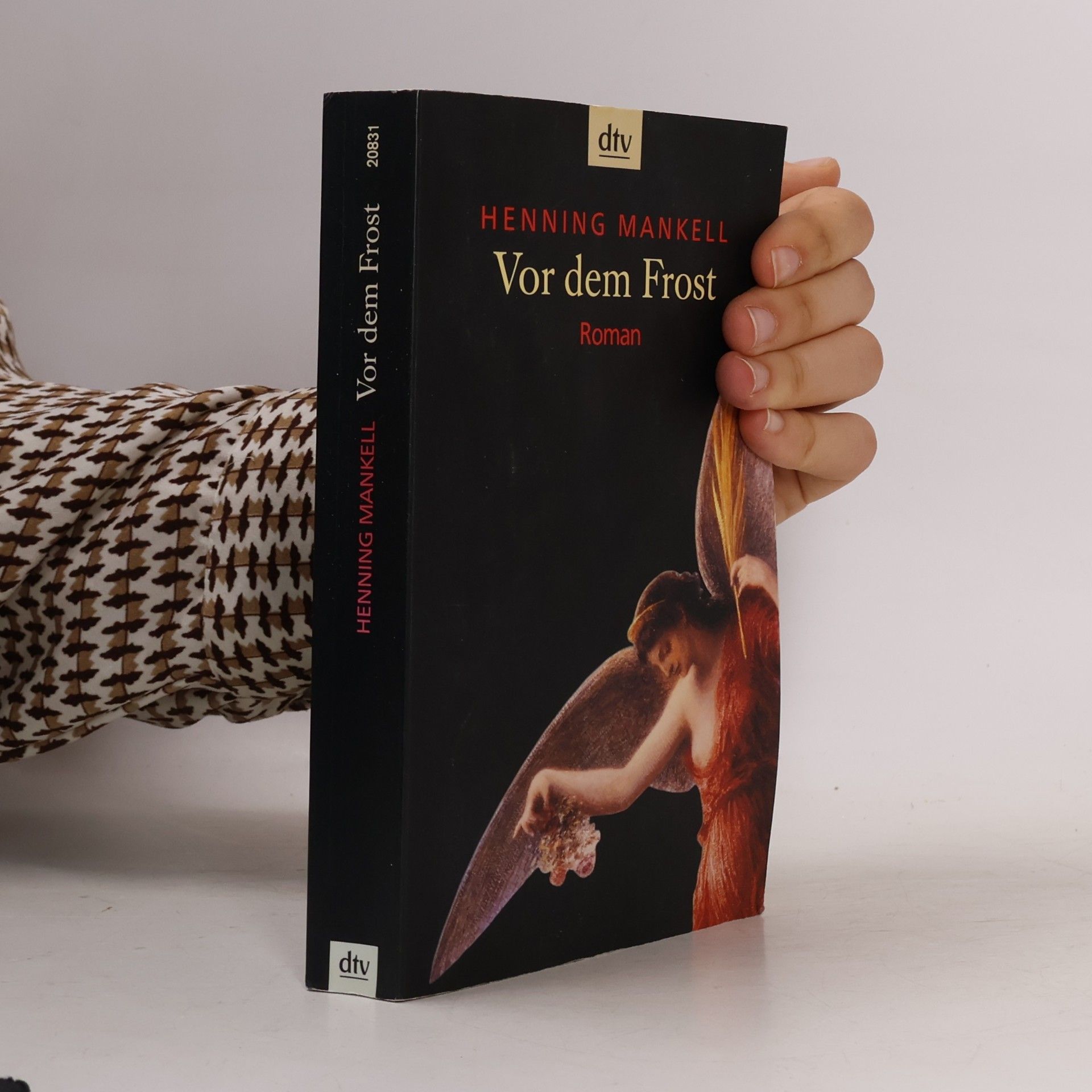Henning Mankell Vor dem Frost
