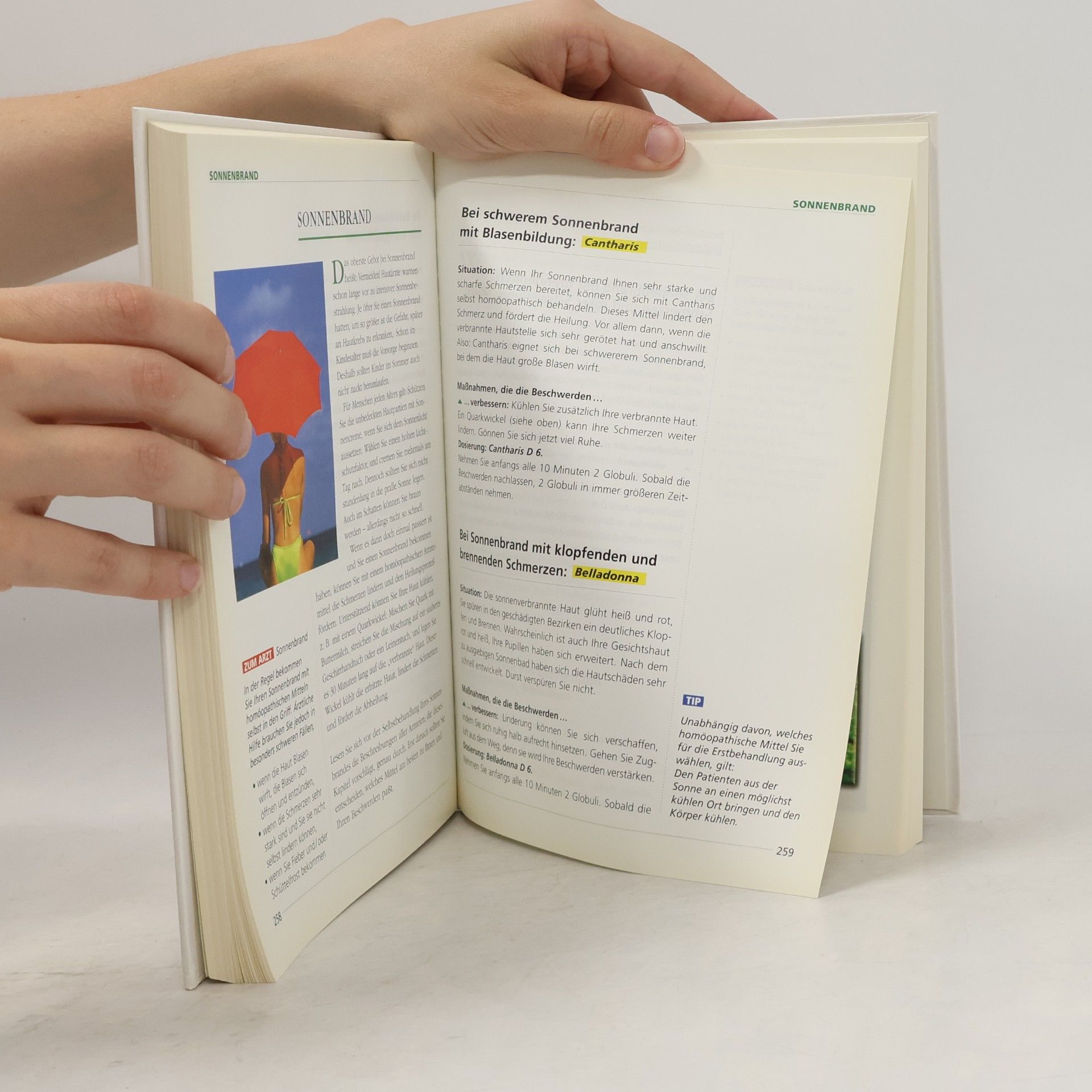 Autorenkollektiv Das neue grosse Buch der Homöopathie
