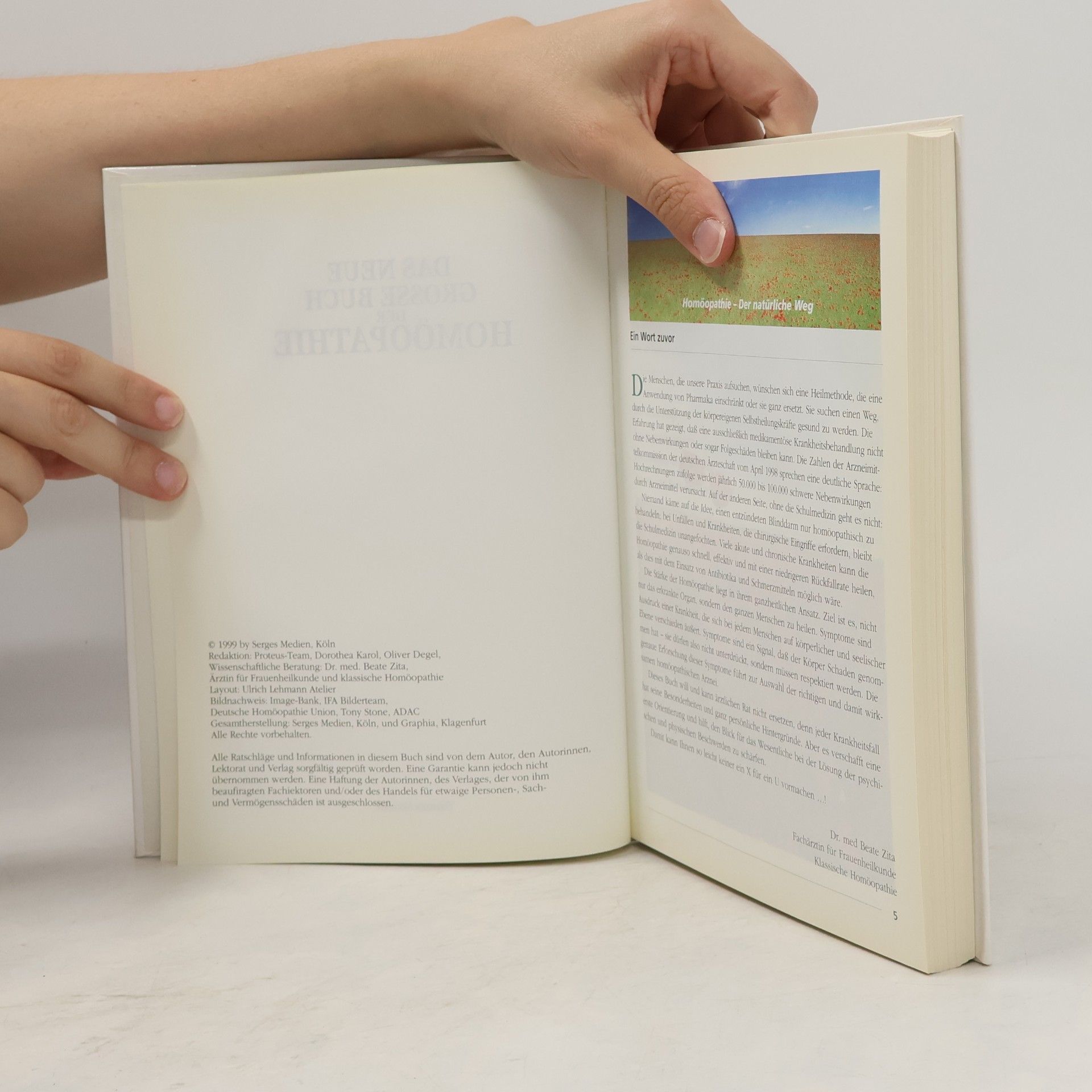 Autorenkollektiv Das neue grosse Buch der Homöopathie