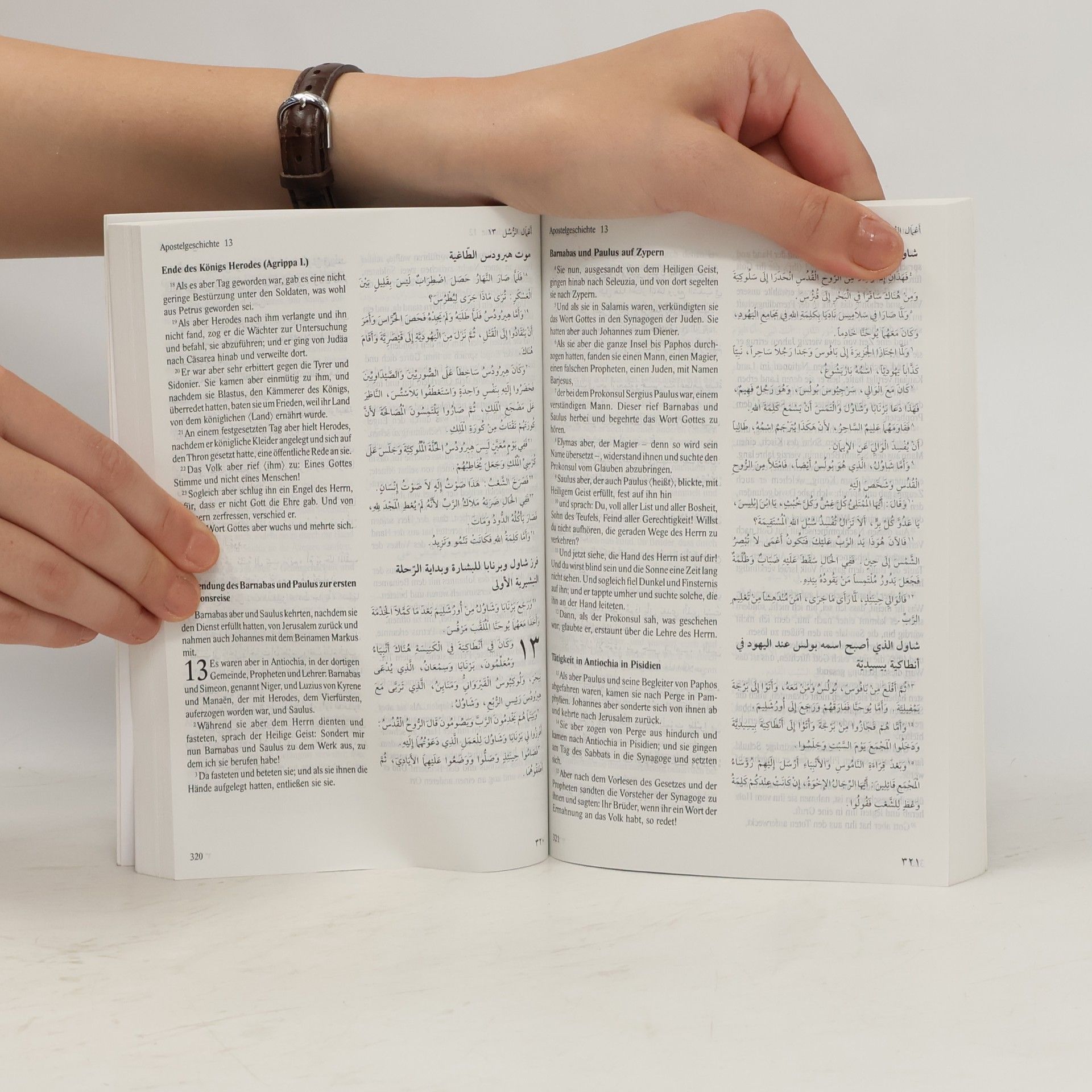 Autores varios Das Neue Testament. Deutsch-Arabisch