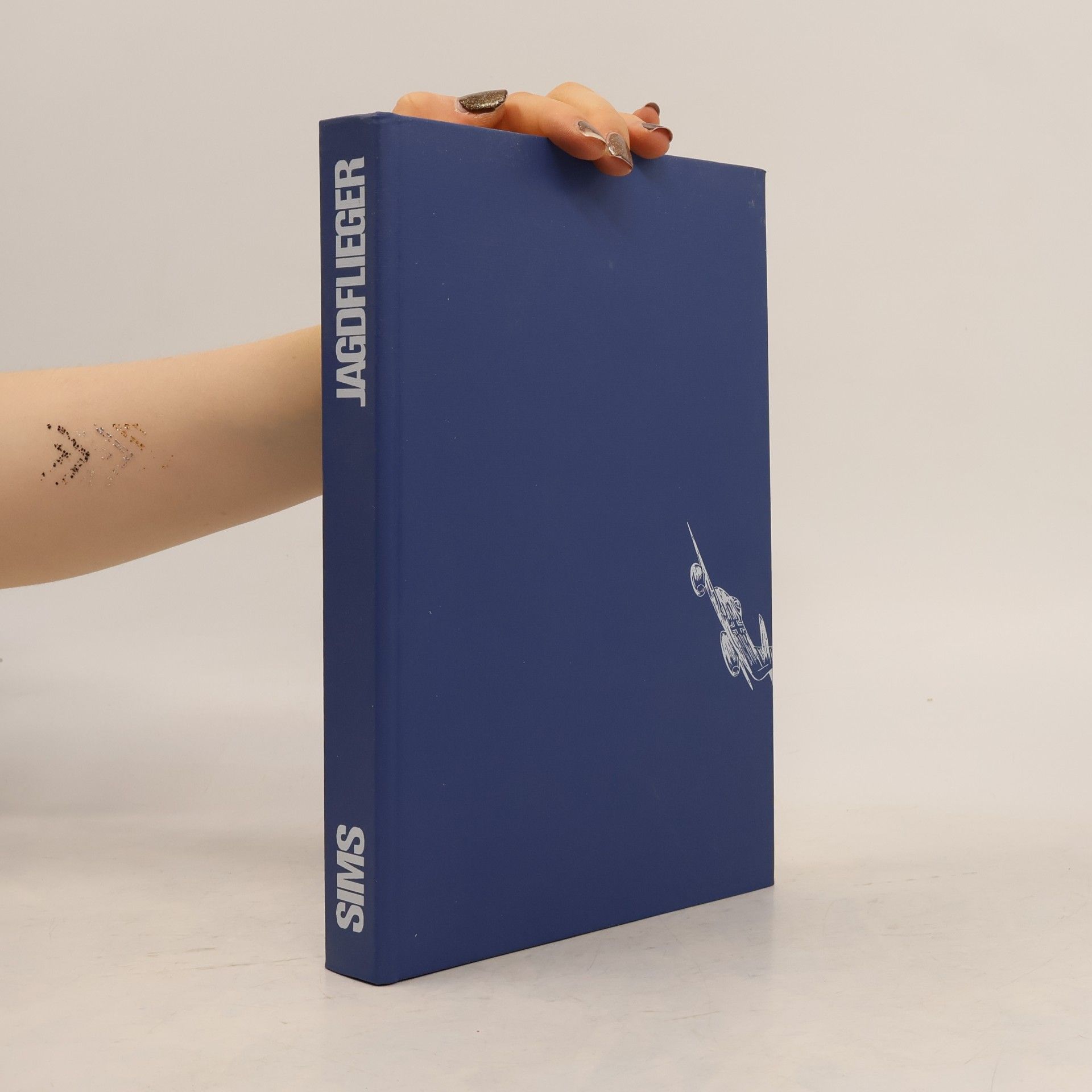 Edward H. Sims Jagdflieger, die großen Gegner von einst