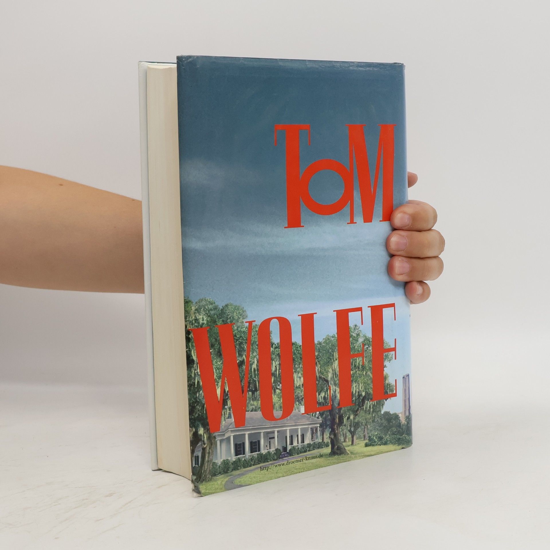 Tom Wolfe Ein ganzer Kerl