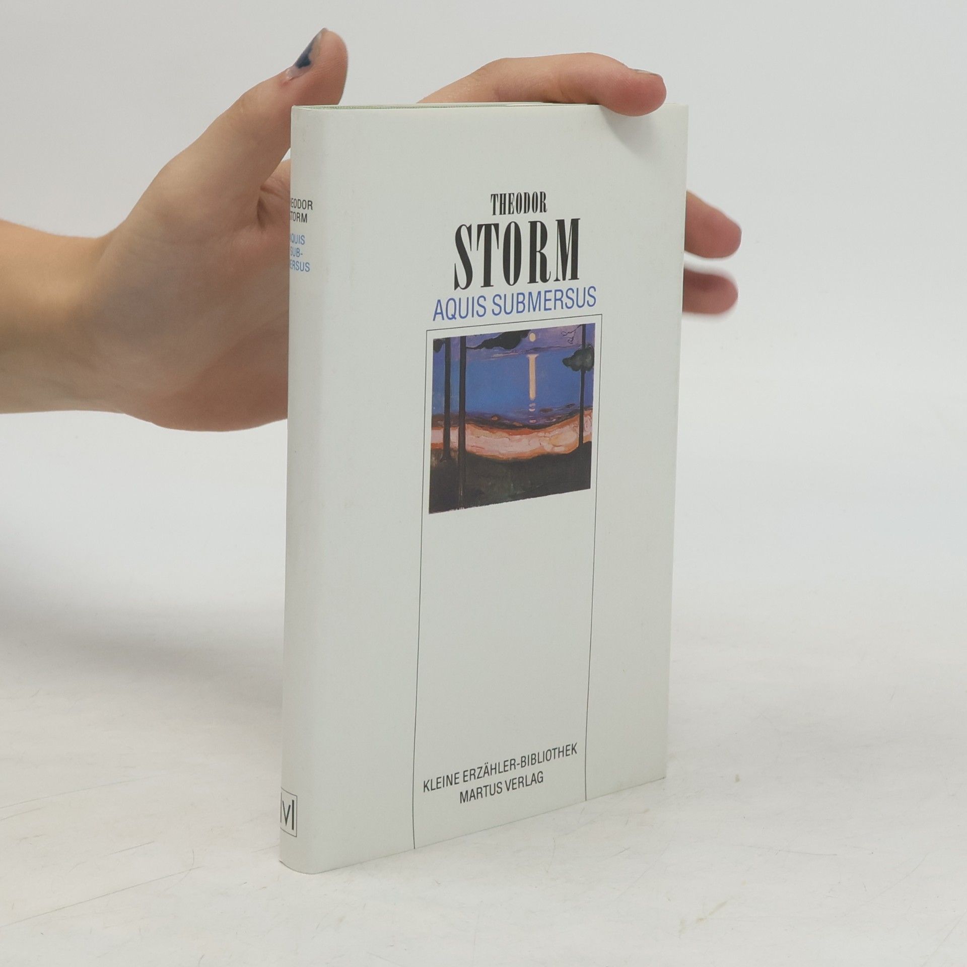 Theodor Storm Kleine Erzähler-Bibliothek: Aquis submersus