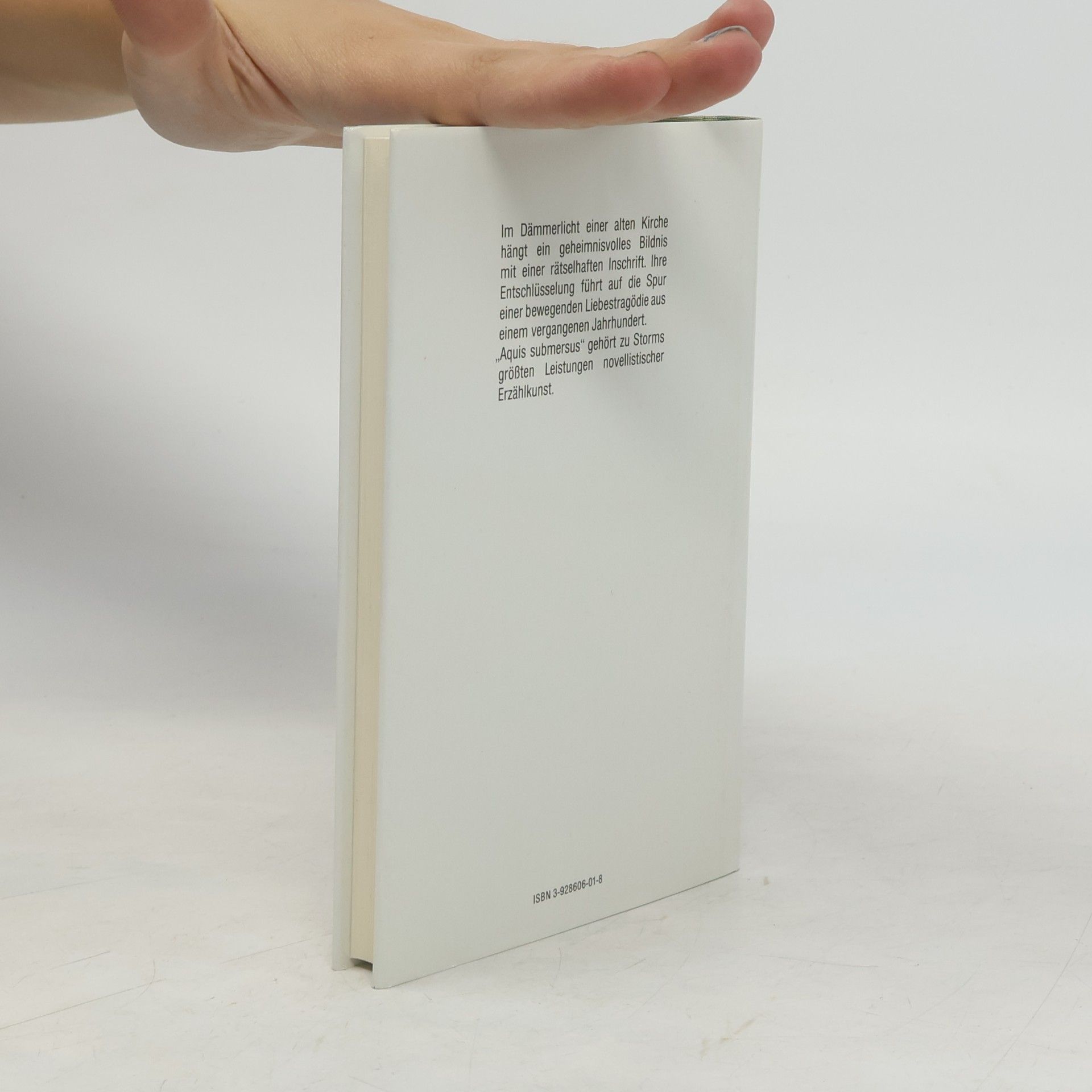 Theodor Storm Kleine Erzähler-Bibliothek: Aquis submersus