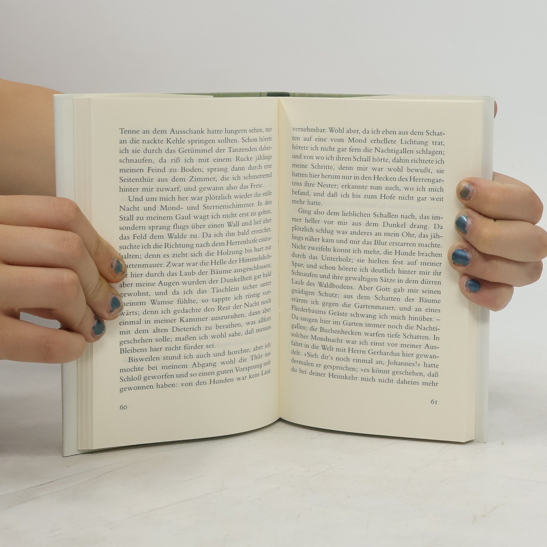 Theodor Storm Kleine Erzähler-Bibliothek: Aquis submersus