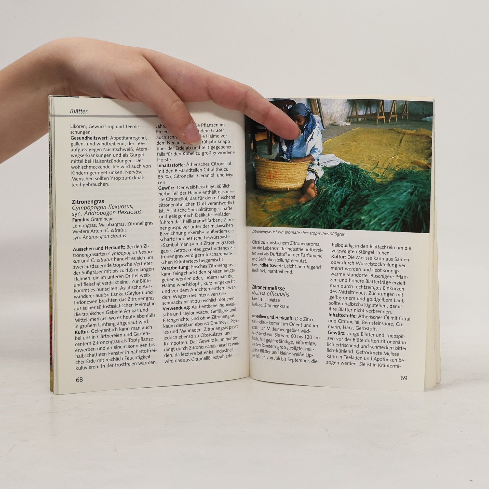 Brigitte Beutner Gewürze aus aller Welt in Garten und Küche