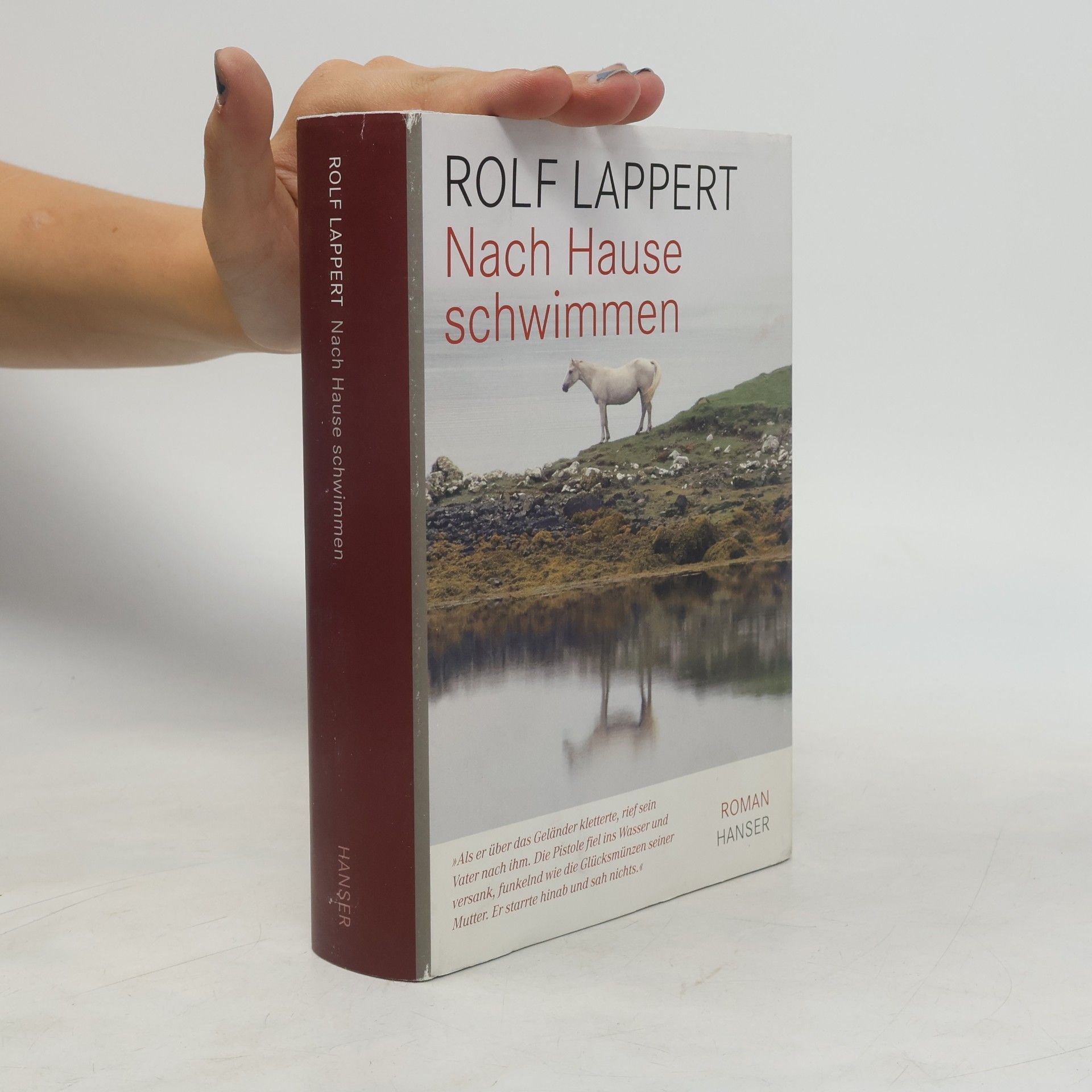 Rolf Lappert Nach Hause schwimmen