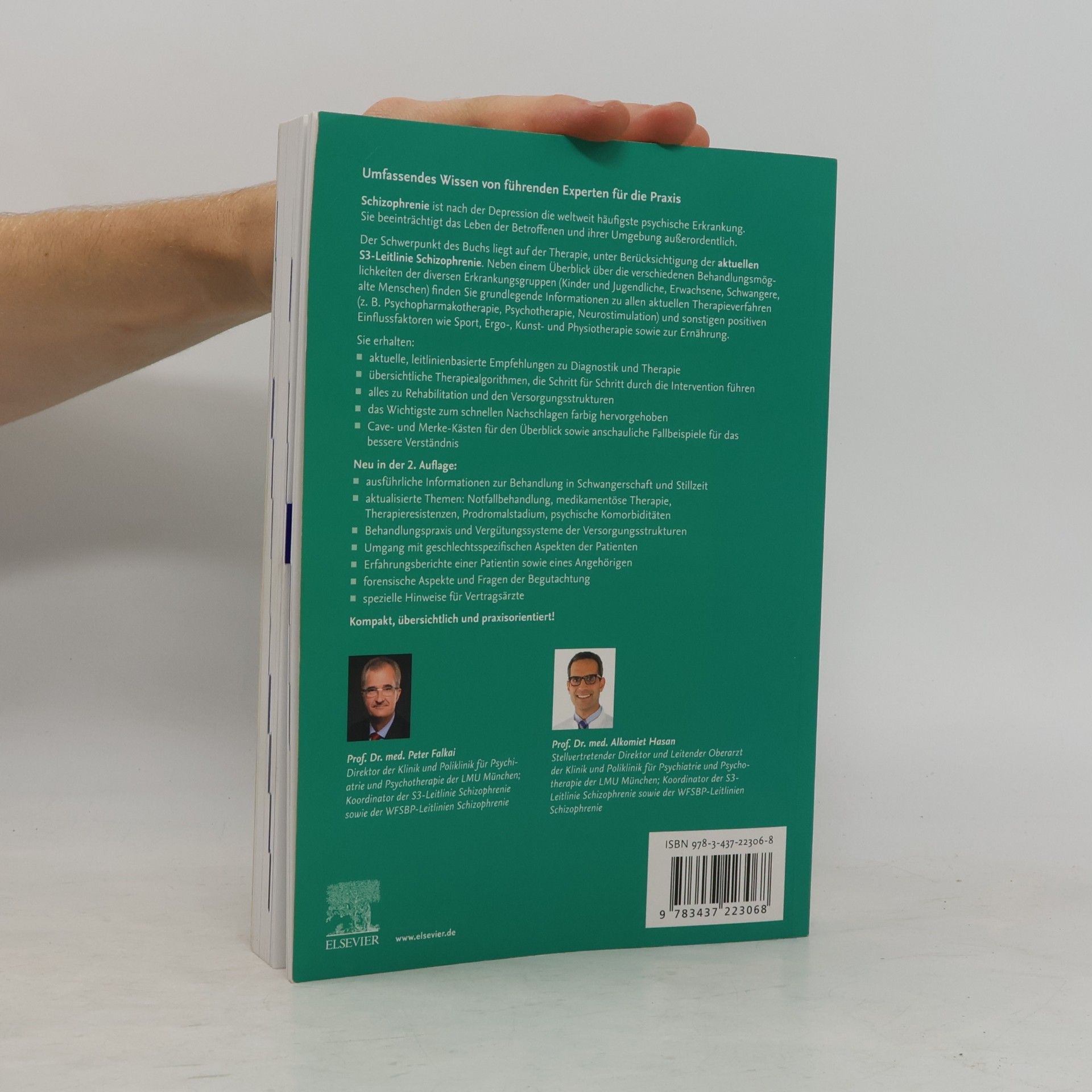 Peter Falkai Praxishandbuch Schizophrenie