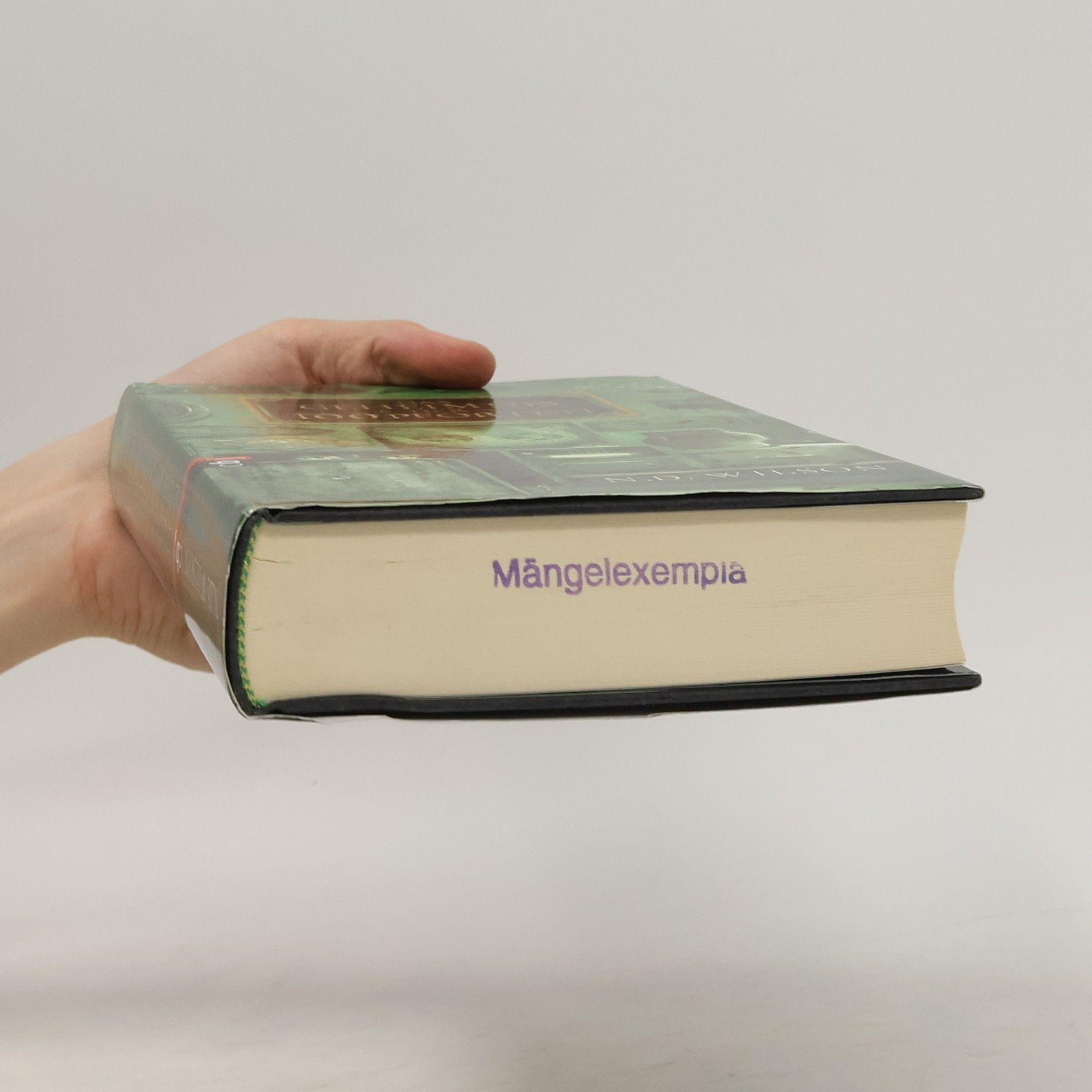 N. D. Wilson Das Geheimnis der 100 Pforten