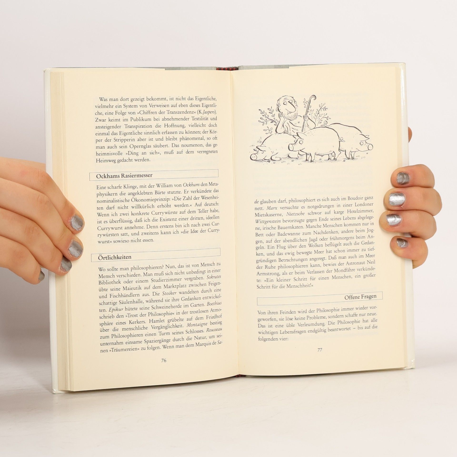 Friedhelm Moser Der philosophische Flohmarkt: Kleines Lexikon der Philosophie